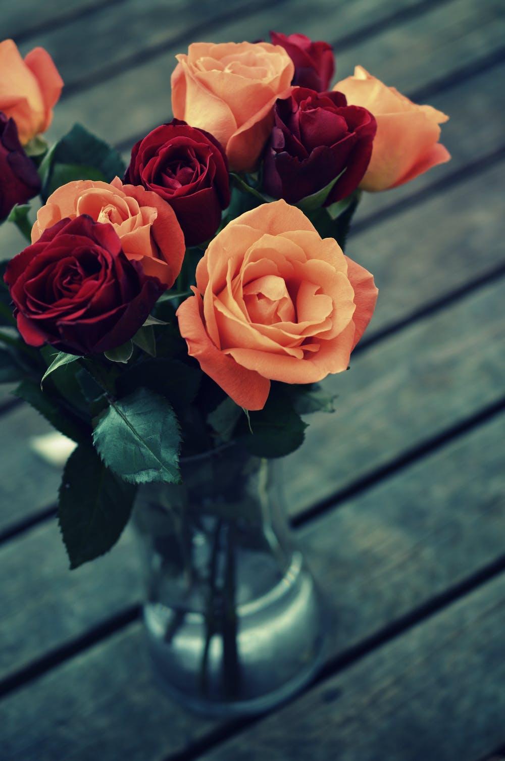 1000x1507 Best Rose Flower Photo · 100% Free Downloads
