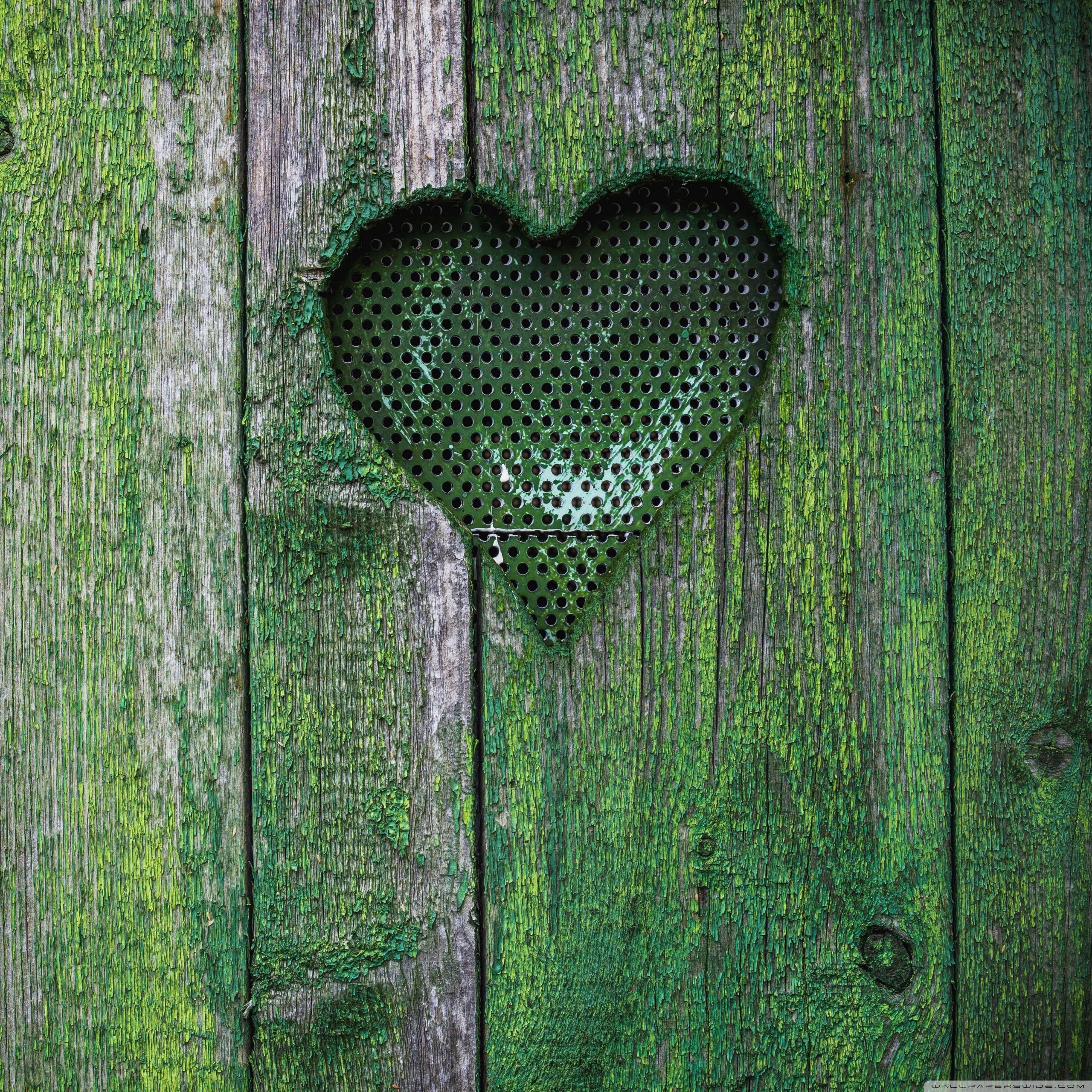 2560x2560 herz wallpaper, green, heart, leaf, grass, wood, tree, plant