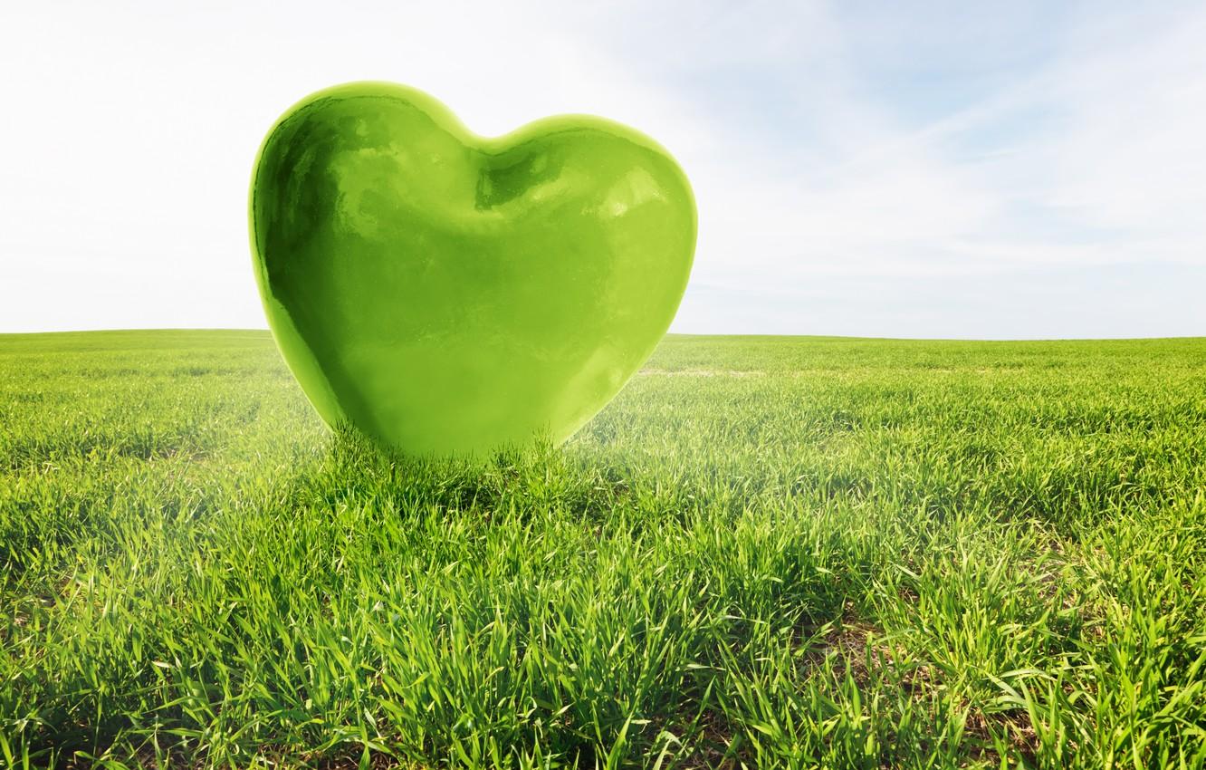 1332x850 Wallpaper love, green, heart, love, field, heart image for desktop, section рендеринг