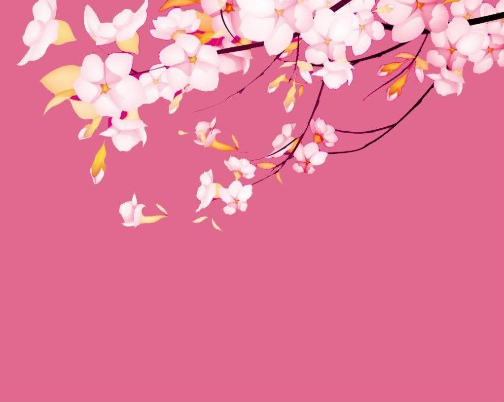 1022x815 Sakura.flower Wallpaper.com. Latest HD Wallpaper