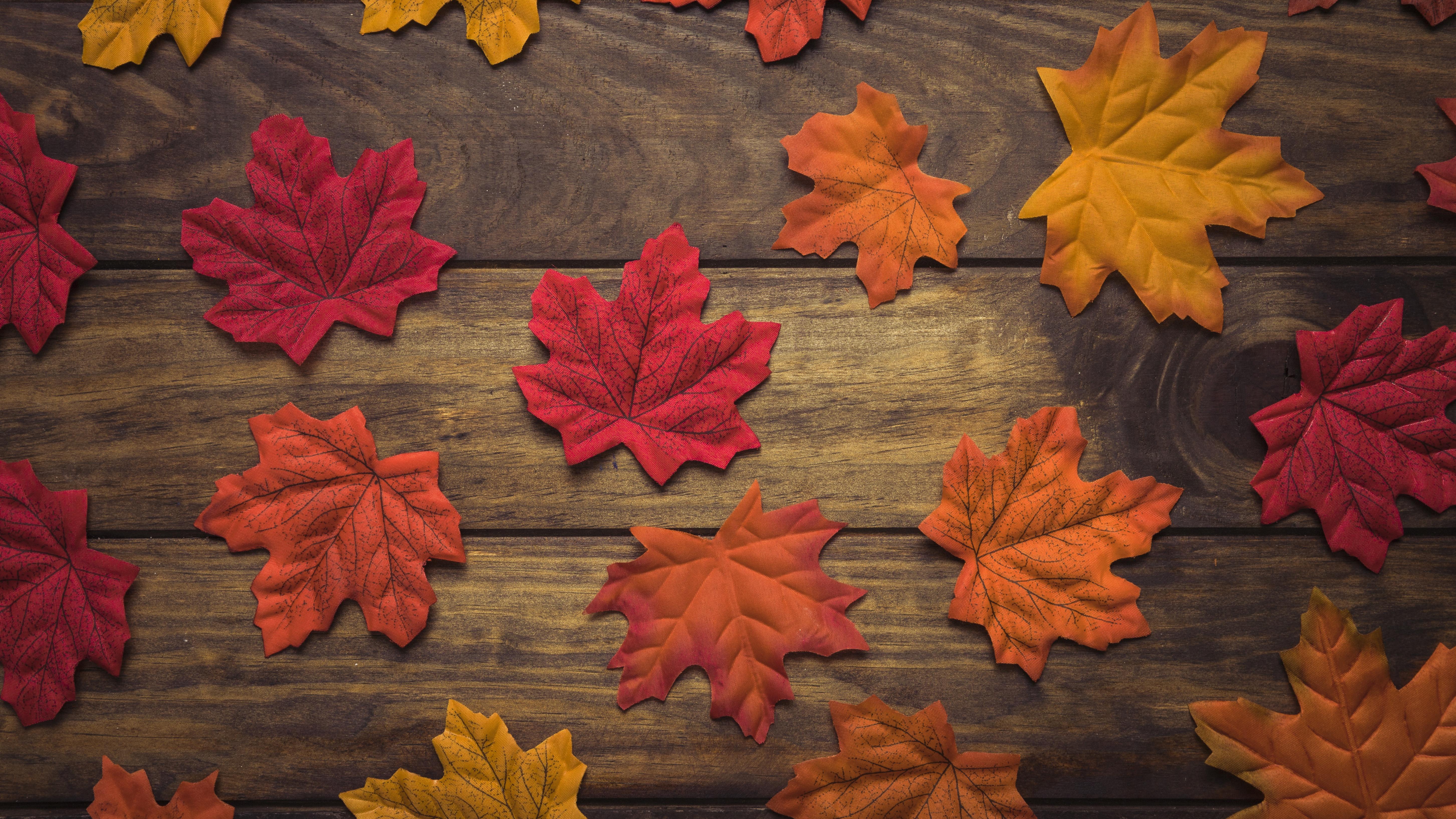 5811x3268 Autumn Wallpaper, Image, Background, Picture Image HD