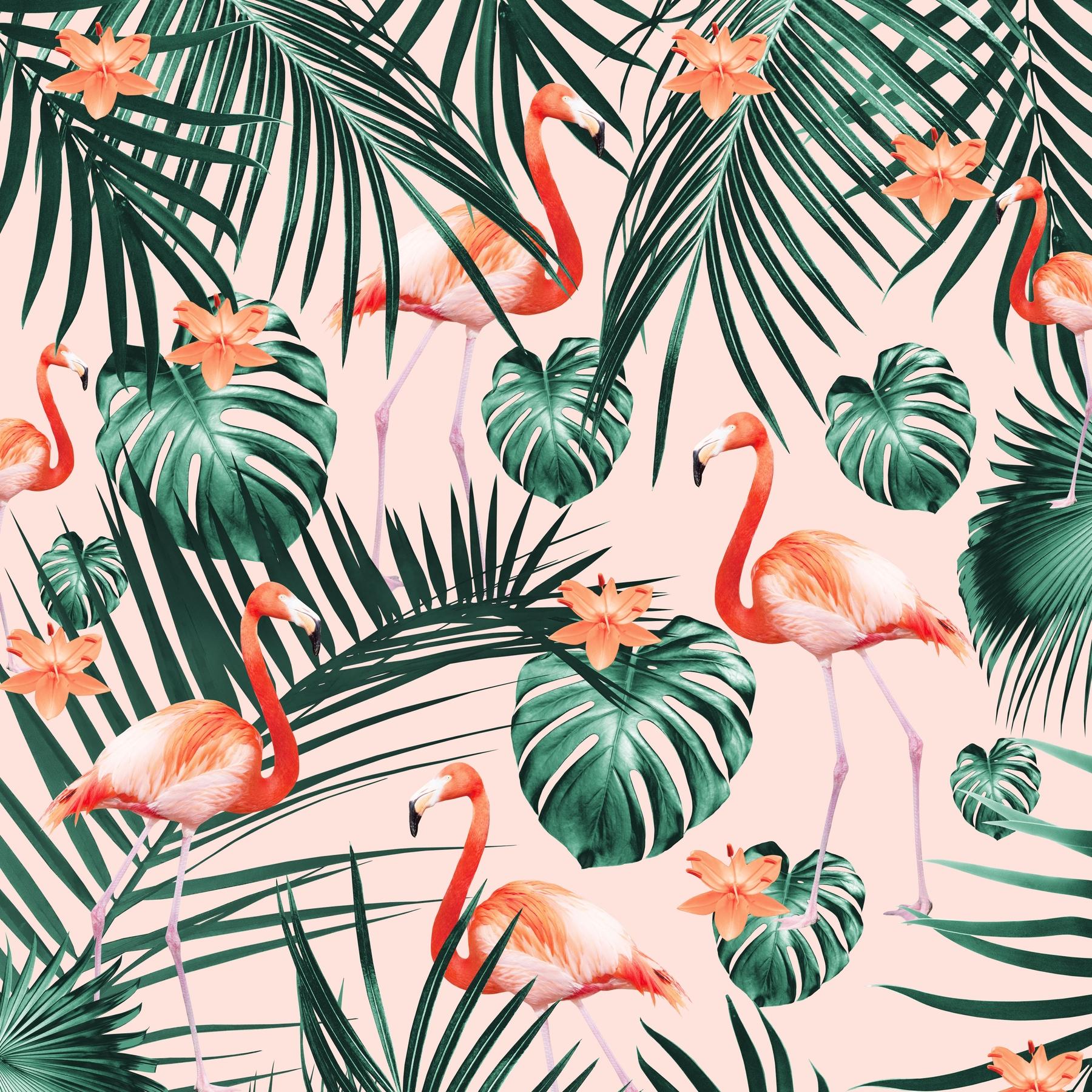 1800x1800 Buy Tropical Flamingo Pattern 2 wallpaper US shipping at