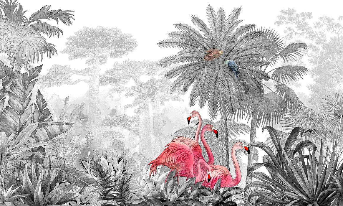 1165x699 Tropical Flamingos