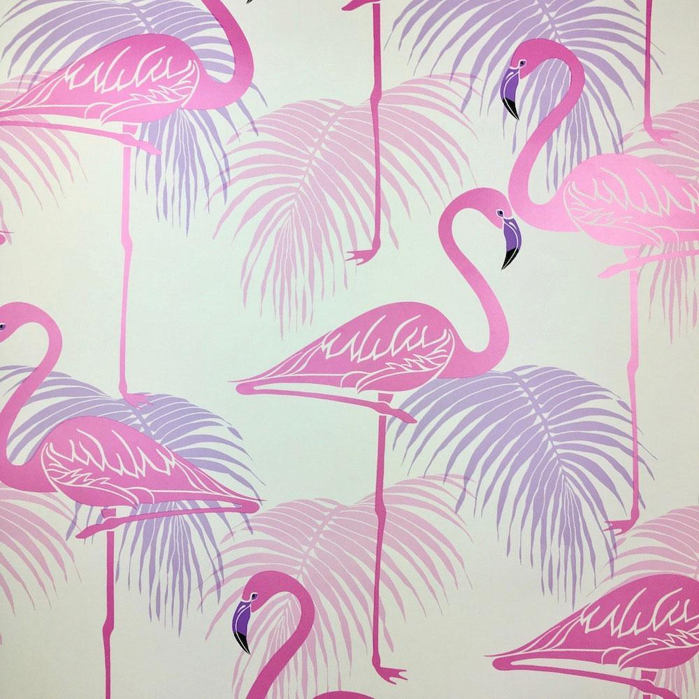1000x1000 Flamingo Wallpaper