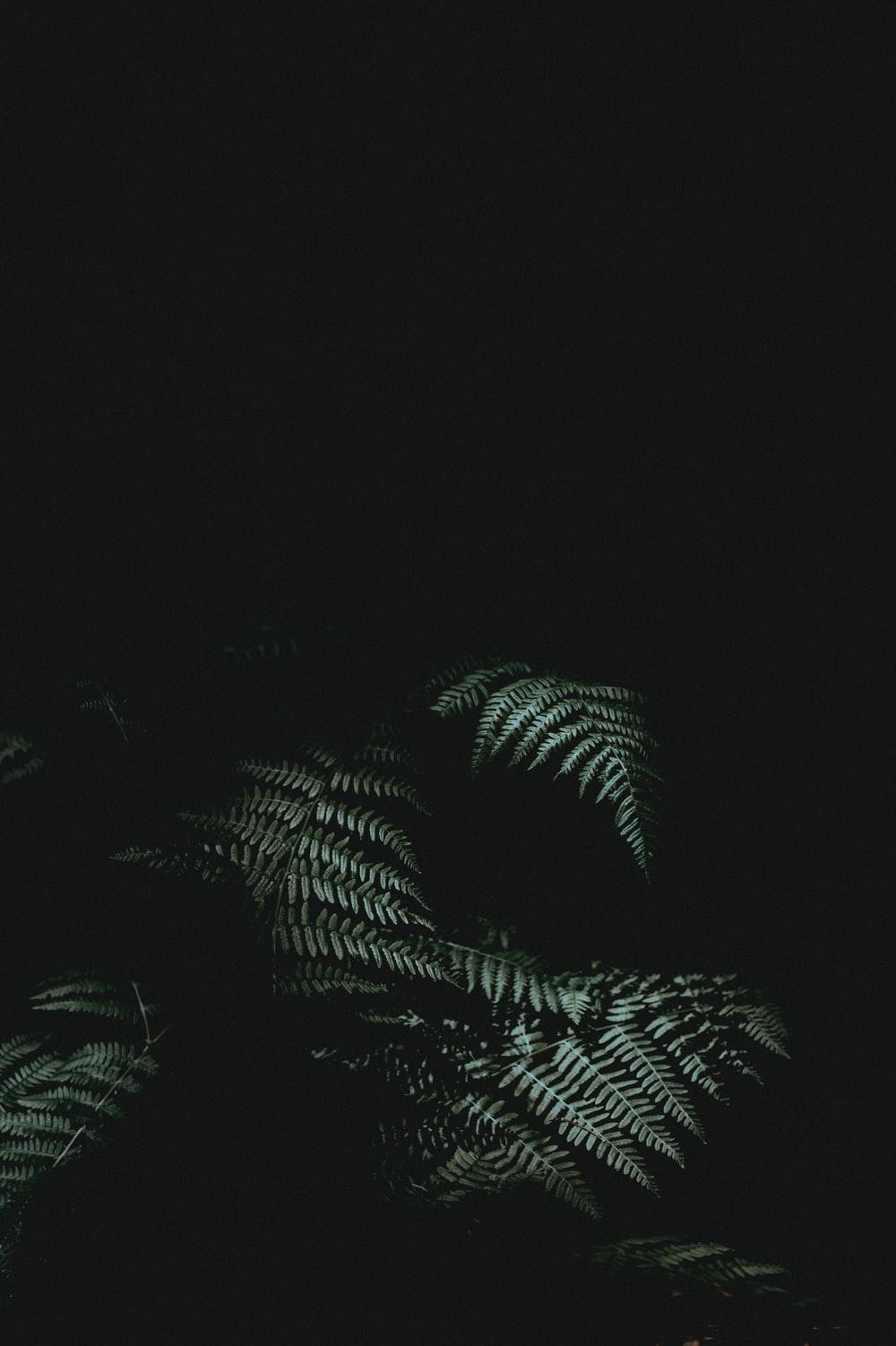 HD dark theme wallpapers | Peakpx