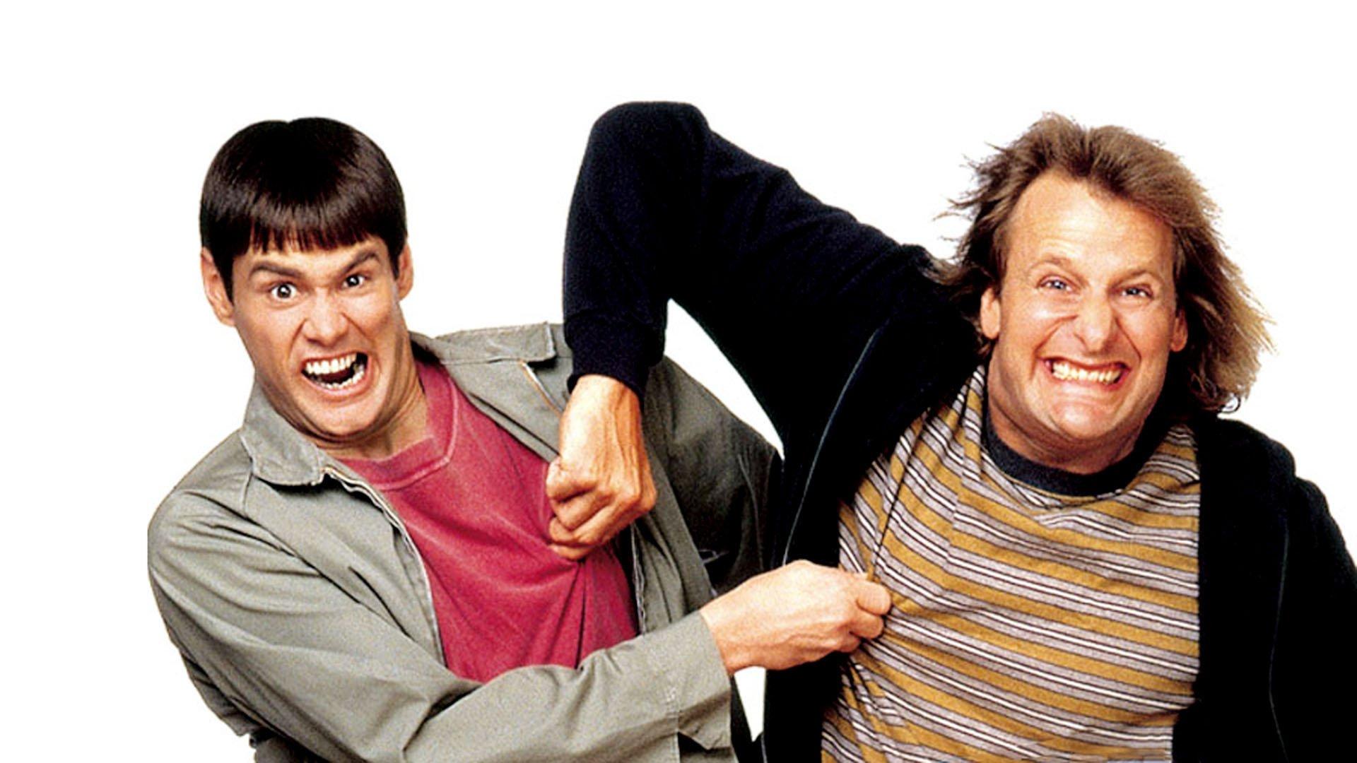 1920x1080 dumb, And, Dumber, Comedy, Family, Humor, Funny, 1 Wallpaper HD / Desktop and Mobile Background