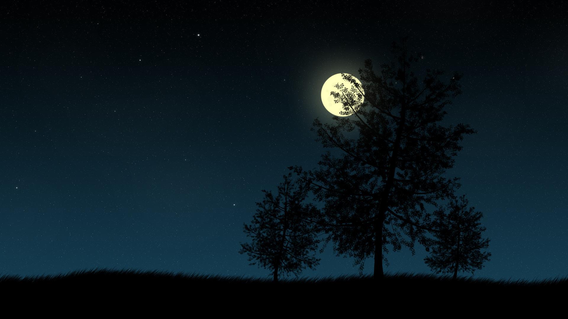 Night Trees Desktop Wallpapers - Top Free Night Trees Desktop ...