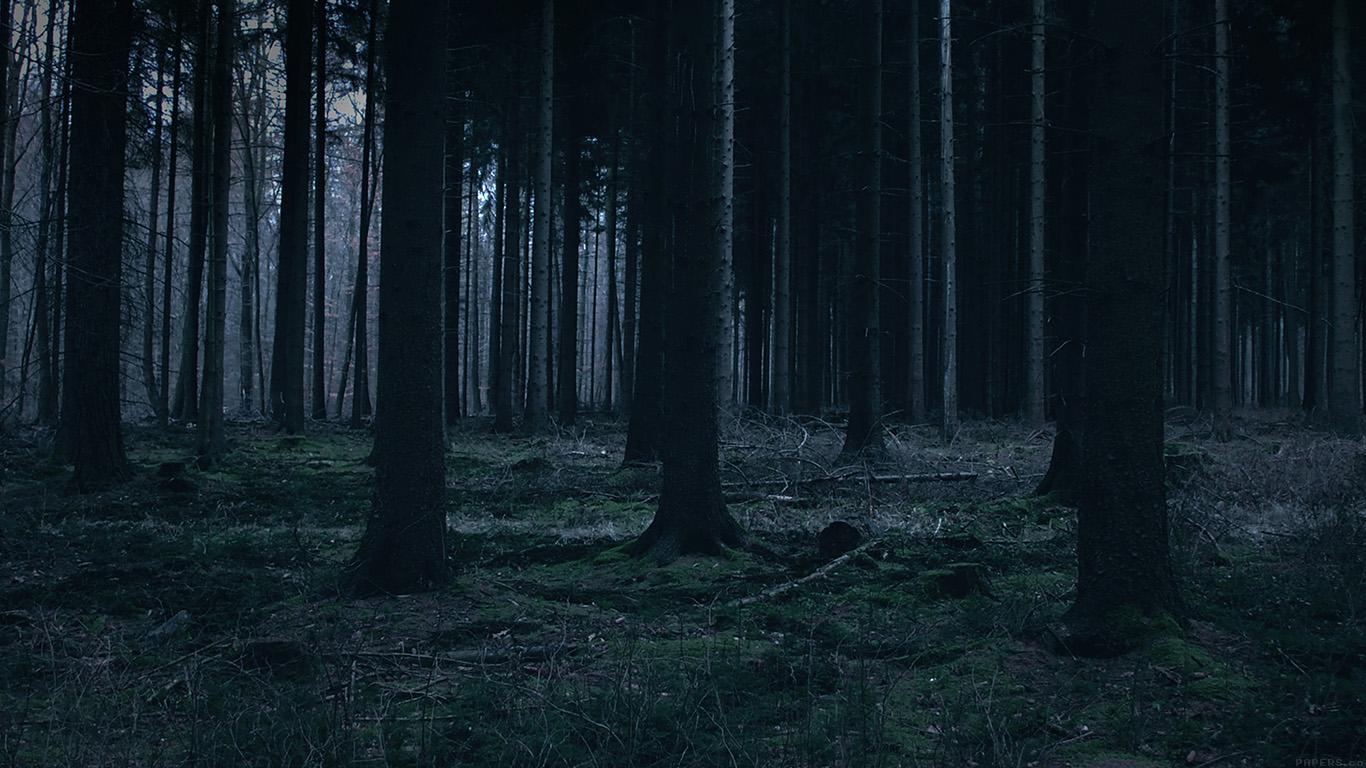 1366x768 wallpaper for desktop, laptop. forest dark night trees nature