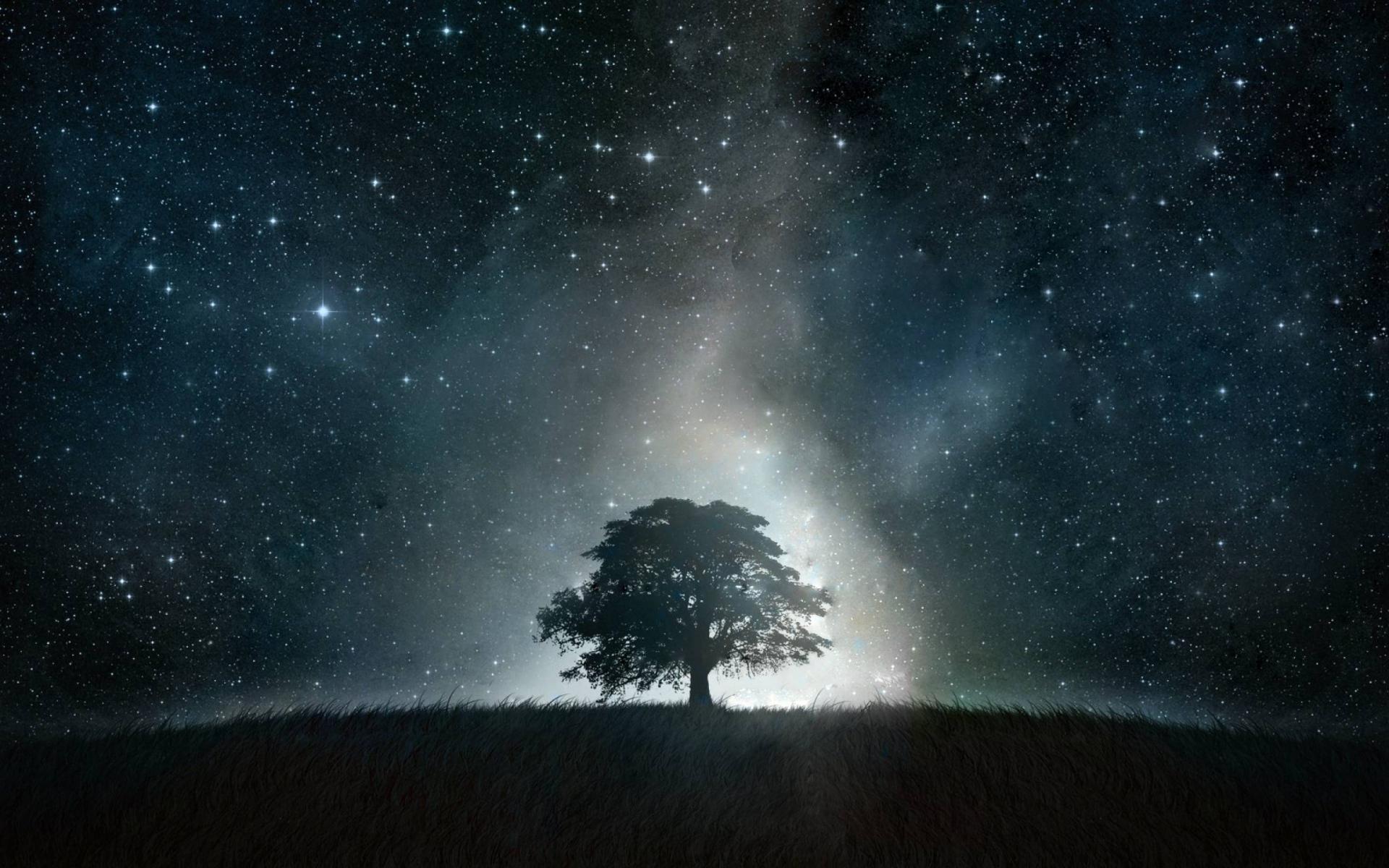 1920x1200 Tree Grass Stars Glowing Night desktop PC and Mac wallpaper