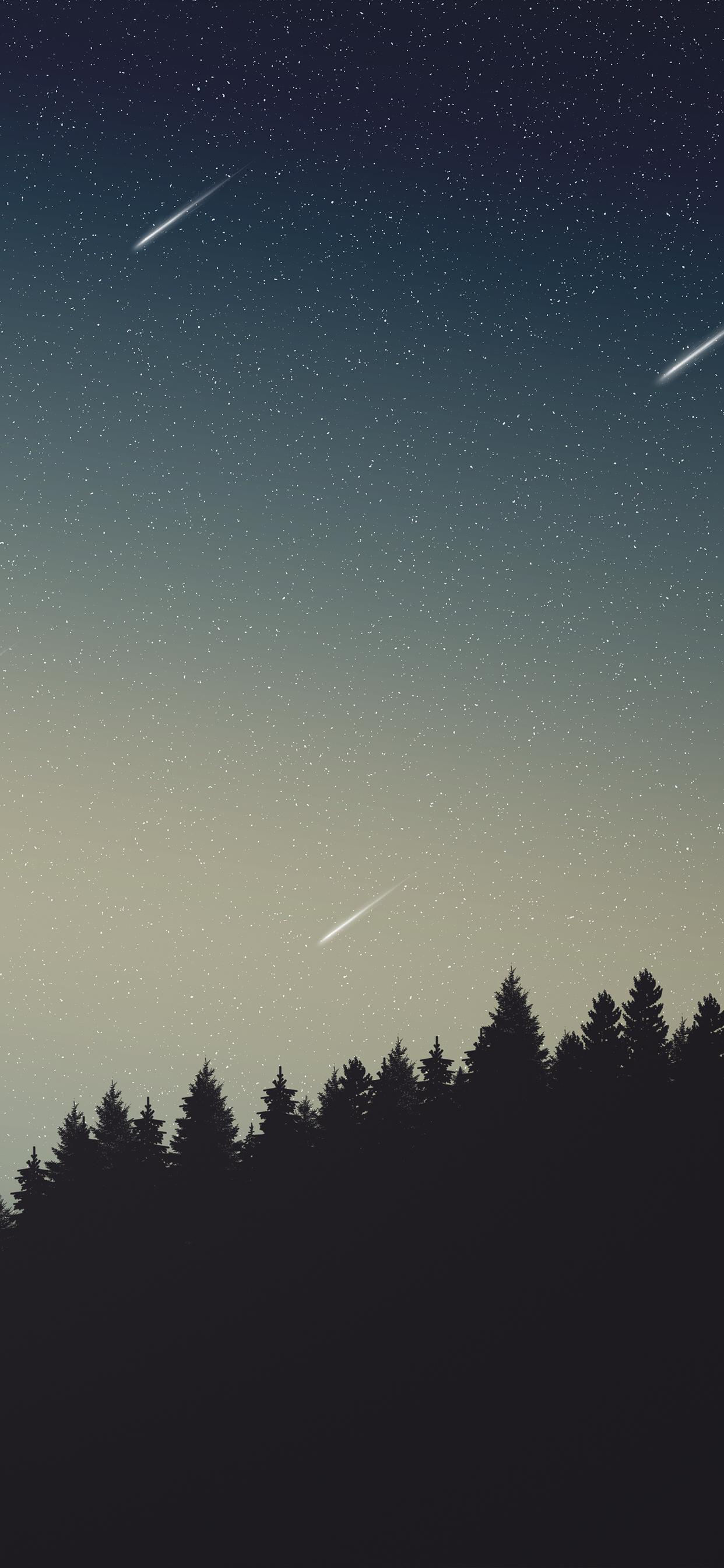 1242x2688 Open Sky Trees Shooting Stars 4k iPhone XS MAX HD 4k Wallpaper, Image, Background, Photo and Picture
