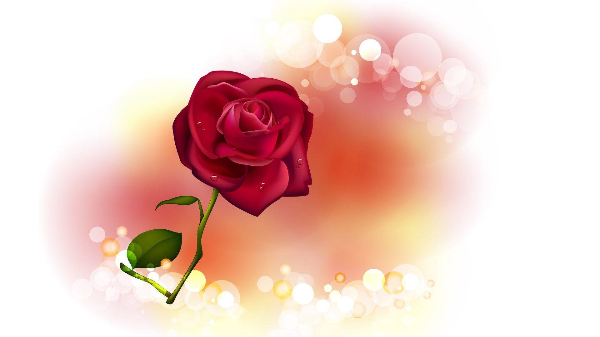 1920x1080 Cool Red Rose Image Love Full HD Rose Wallpaper wallpaper
