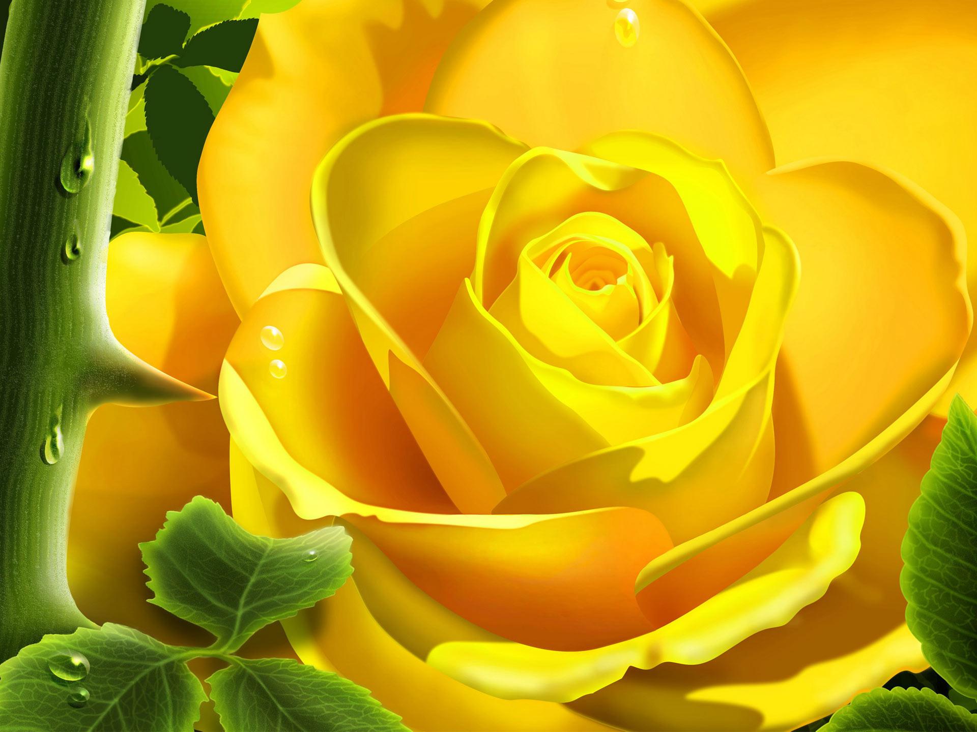 1920x1440 Yellow Roses Wallpaper for Desktop