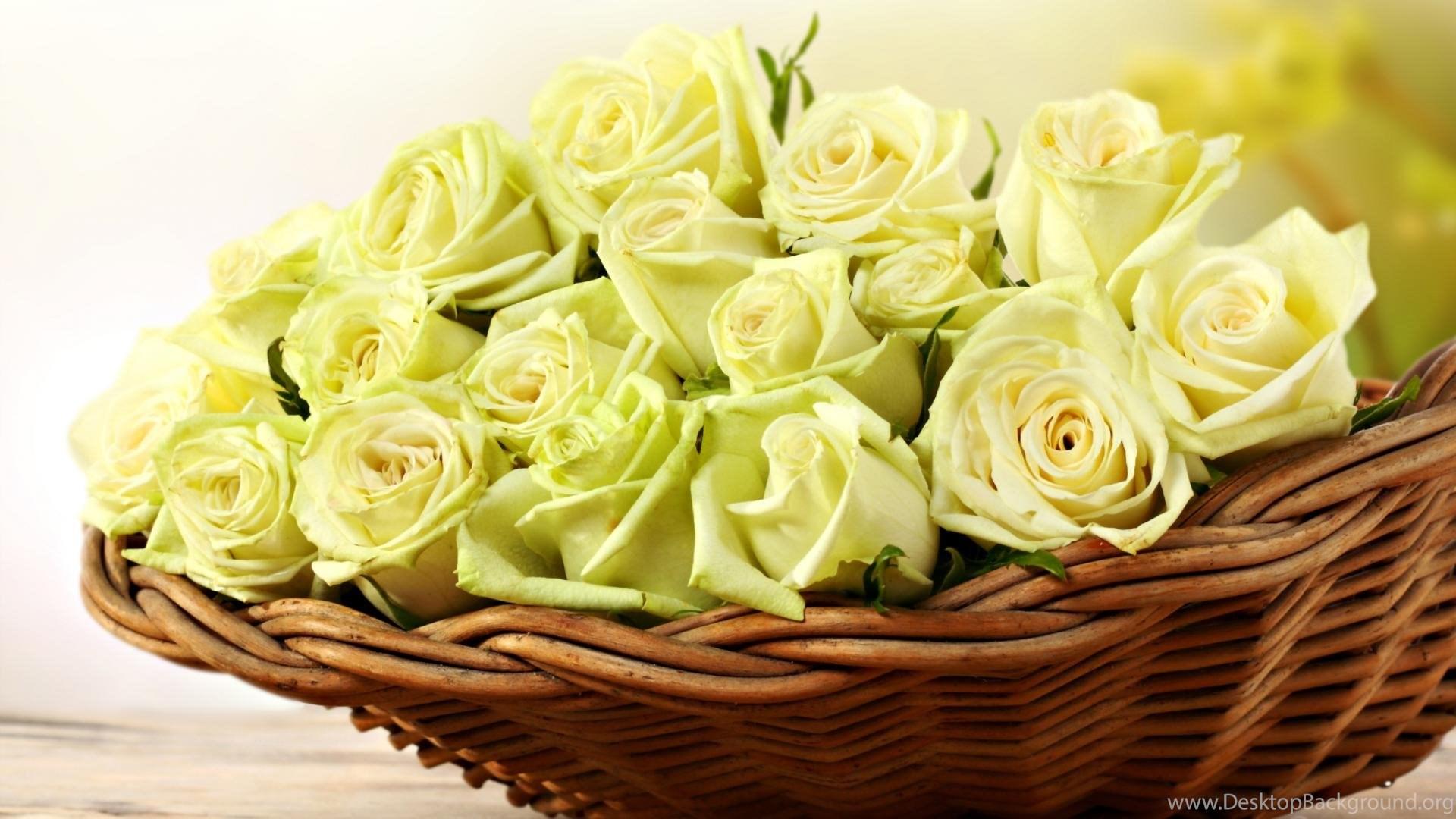 1920x1080 Yellow Roses Wallpaper Desktop Background