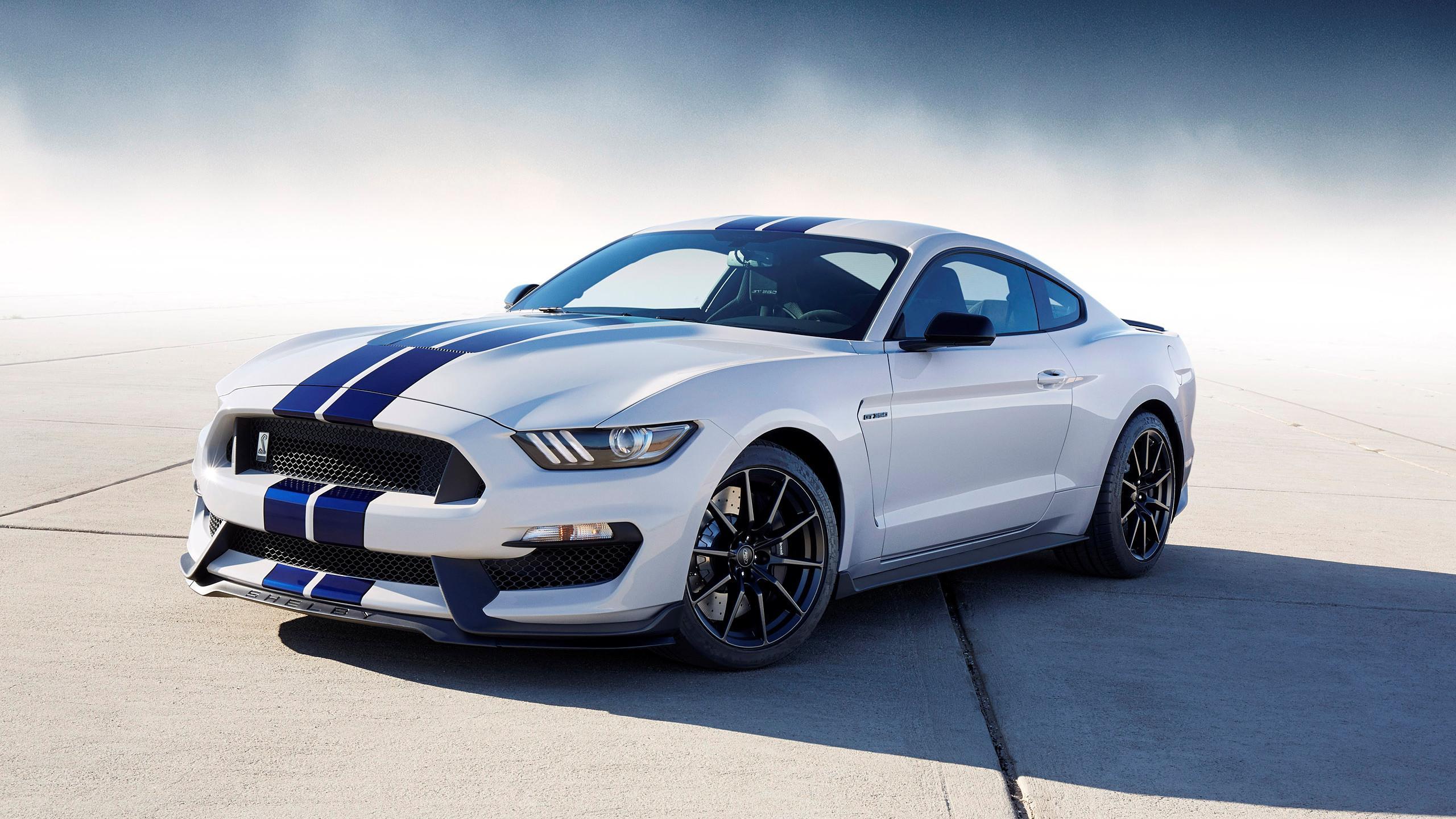2560x1440 Ford Shelby Mustang Free Download
