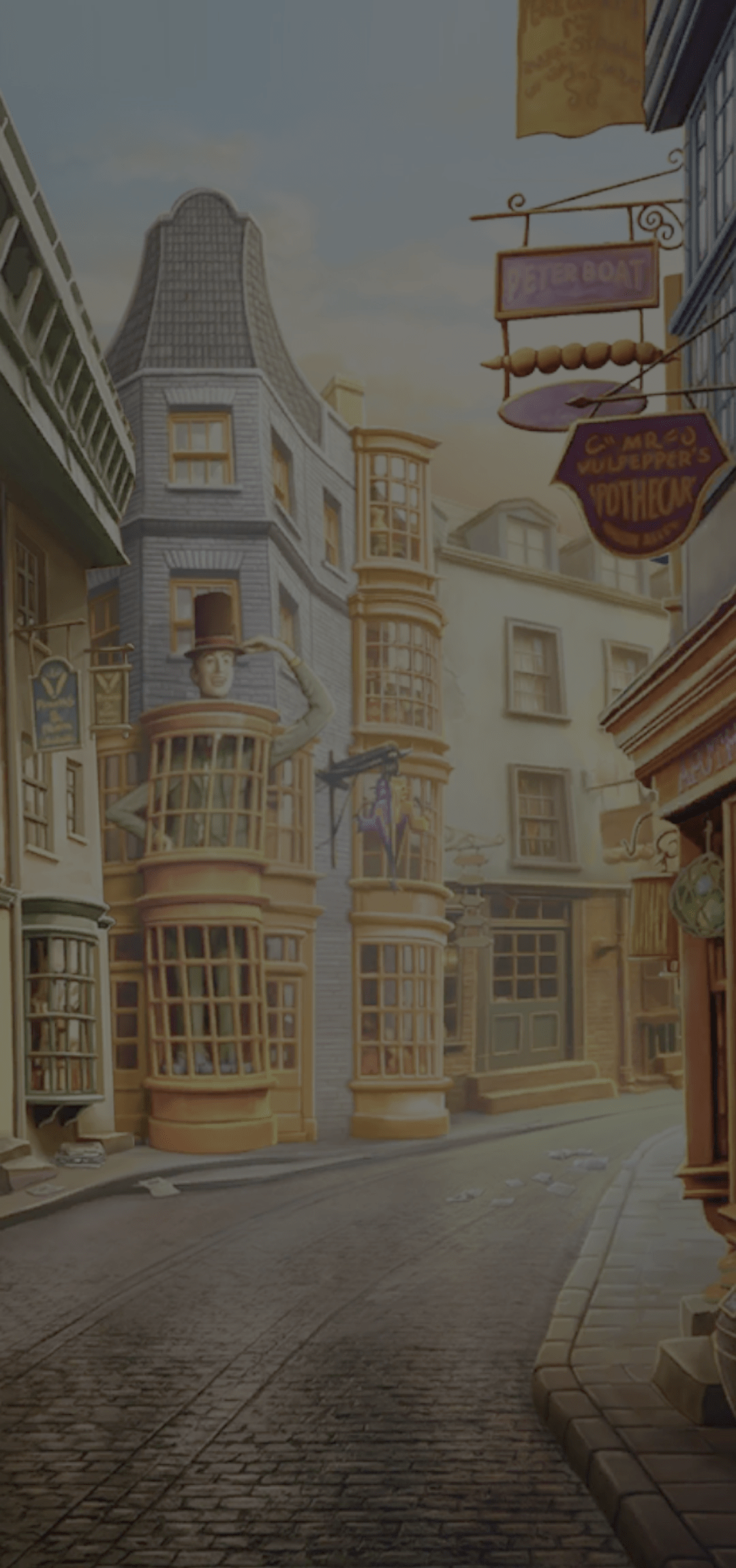 1080x2301 Diagon Alley