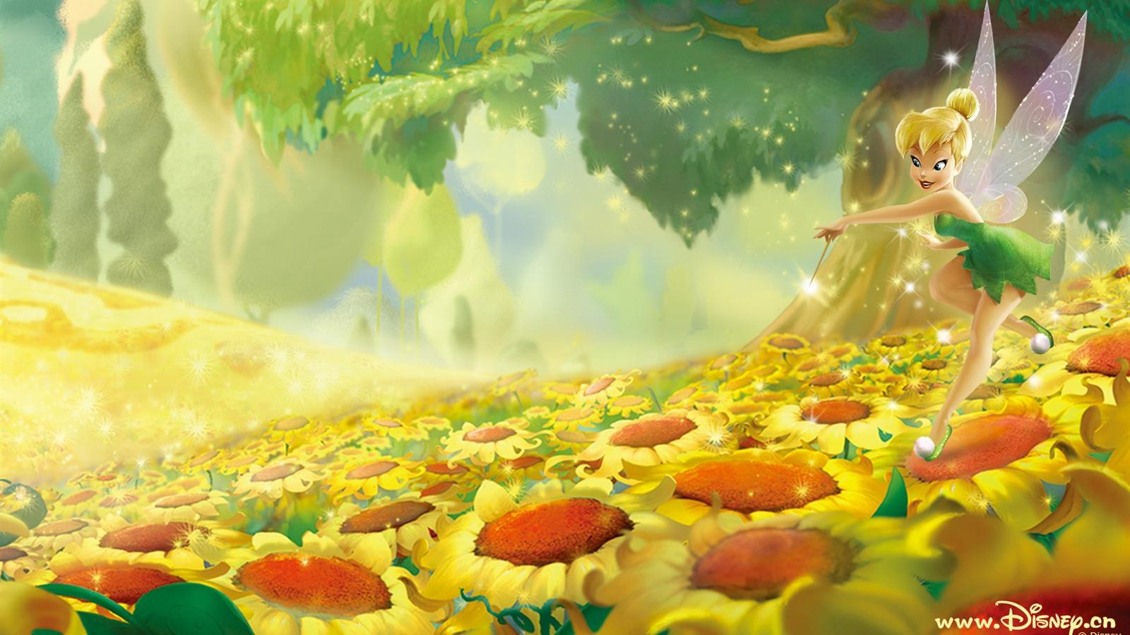 1600x900 Wallpaper Flower Fairy 1680x1050 HD Picture, Image
