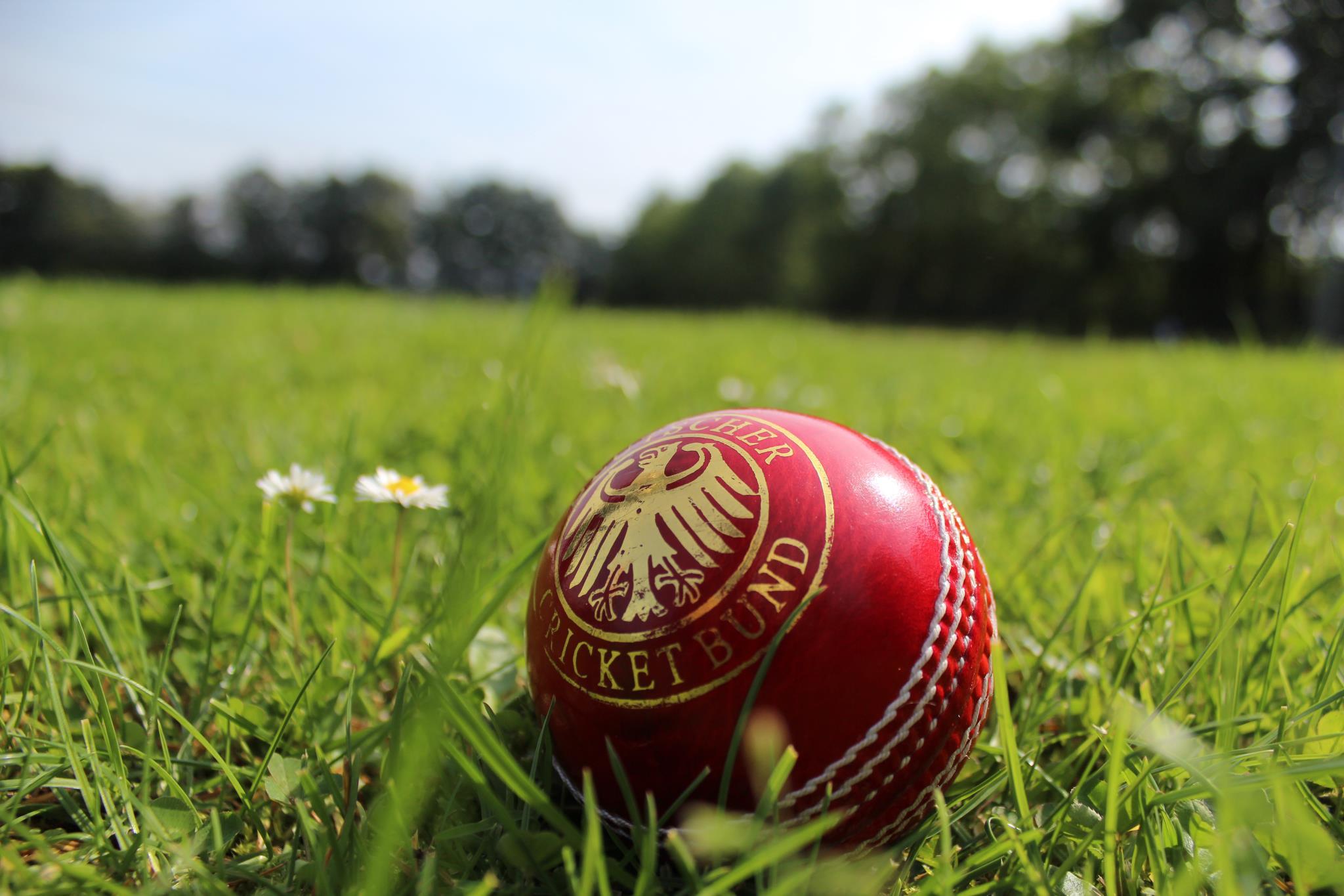 2048x1365 Cricket Wallpaper