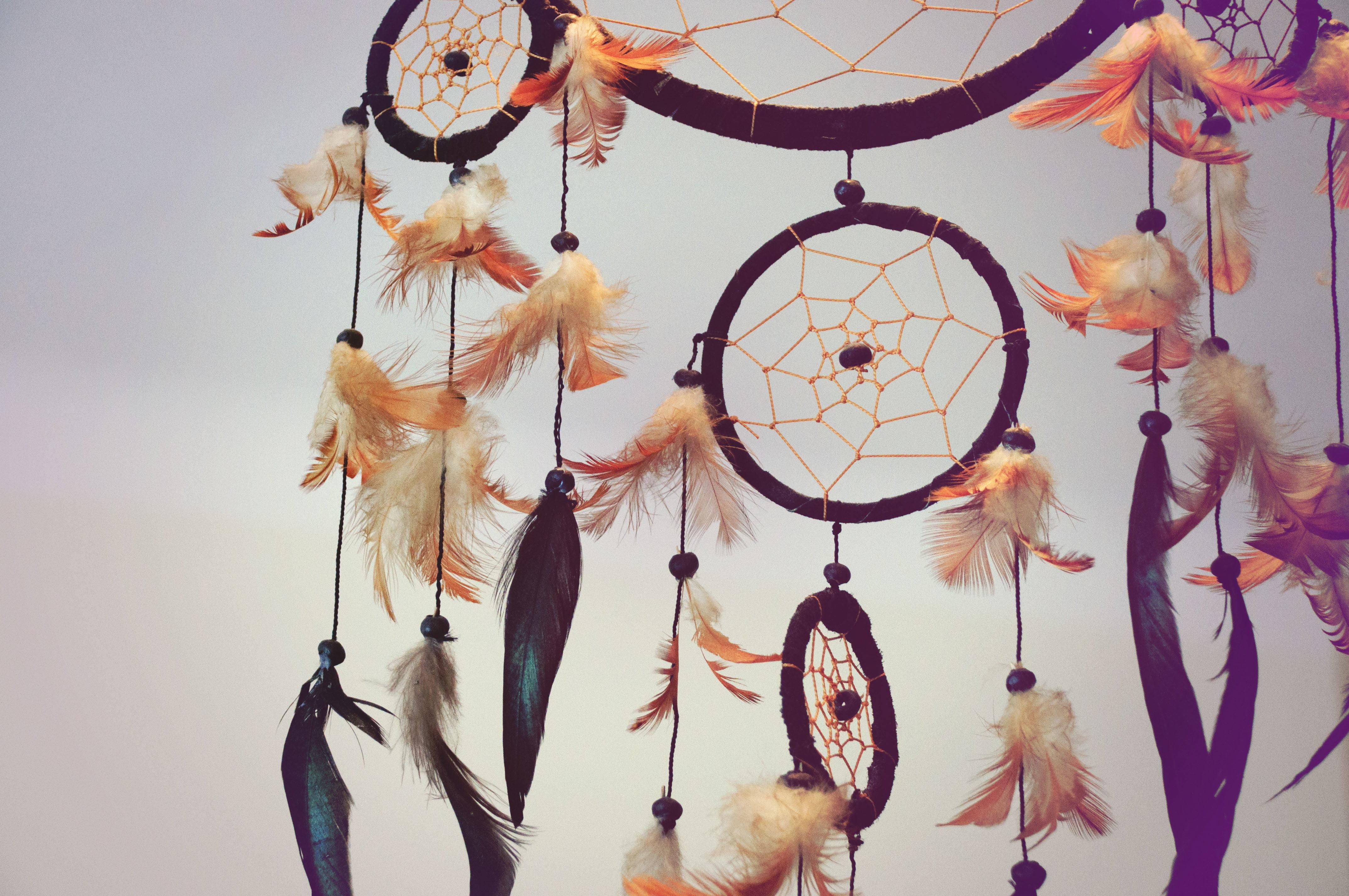 Дреам Катчер Ловец снов. Ловец снов (Dreamcatcher), 2003. Ловец снов Эстетика. Хранитель снов амулет.