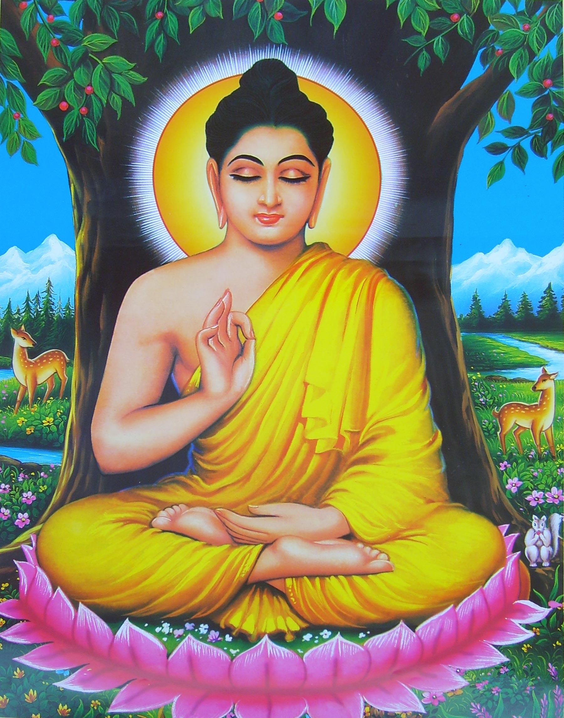 1800x2292 Bhudda wallpaper, Religious, HQ Bhudda pictureK Wallpaper 2019