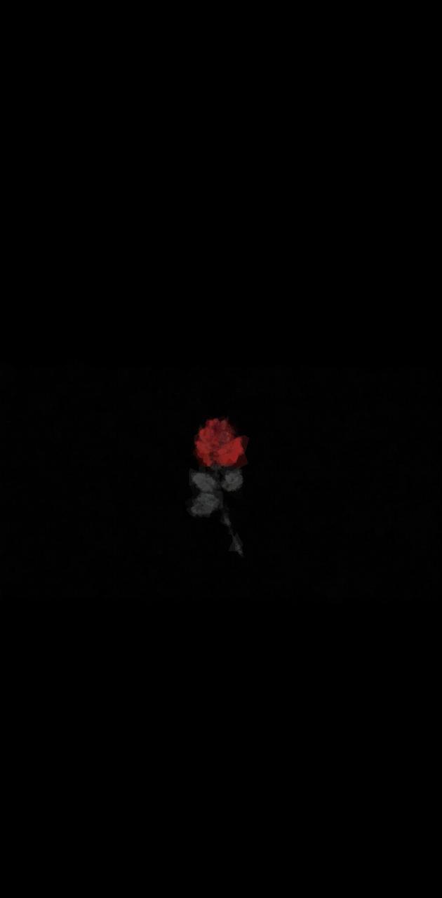 630x1280 Dying rose wallpaper