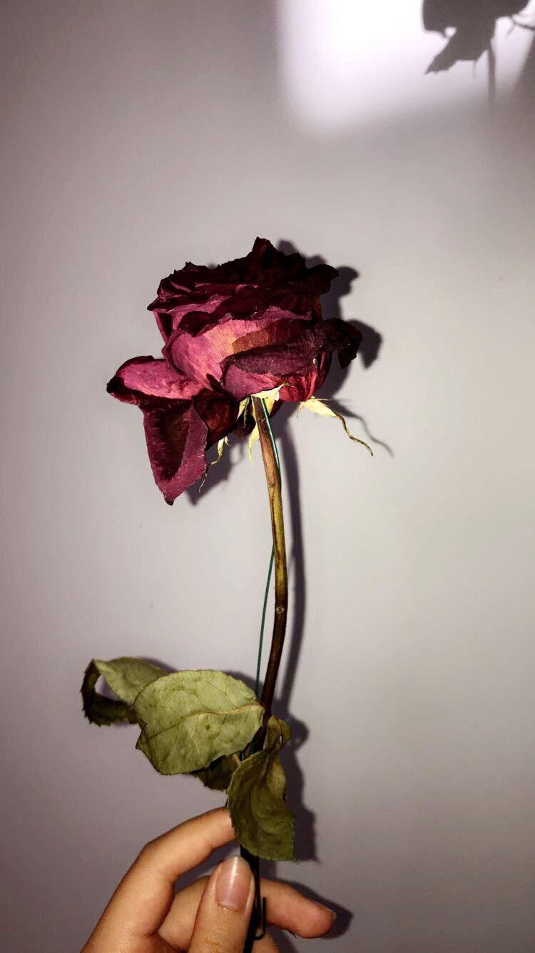 750x1334 Floral