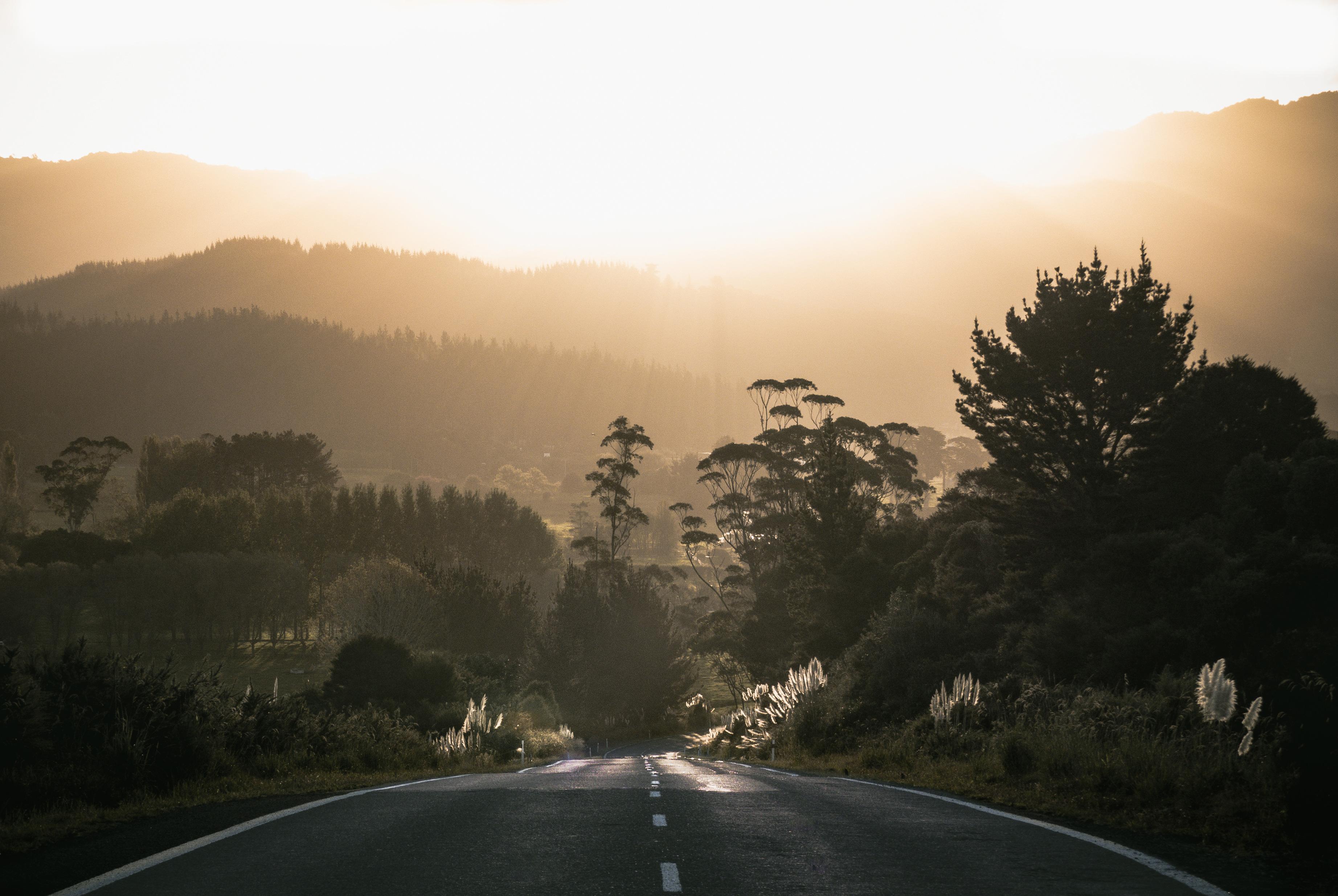 3687x2470 Road Surrounded By Trees 1366x768 Resolution HD 4k Wallpaper, Image, Background, Photo and Picture