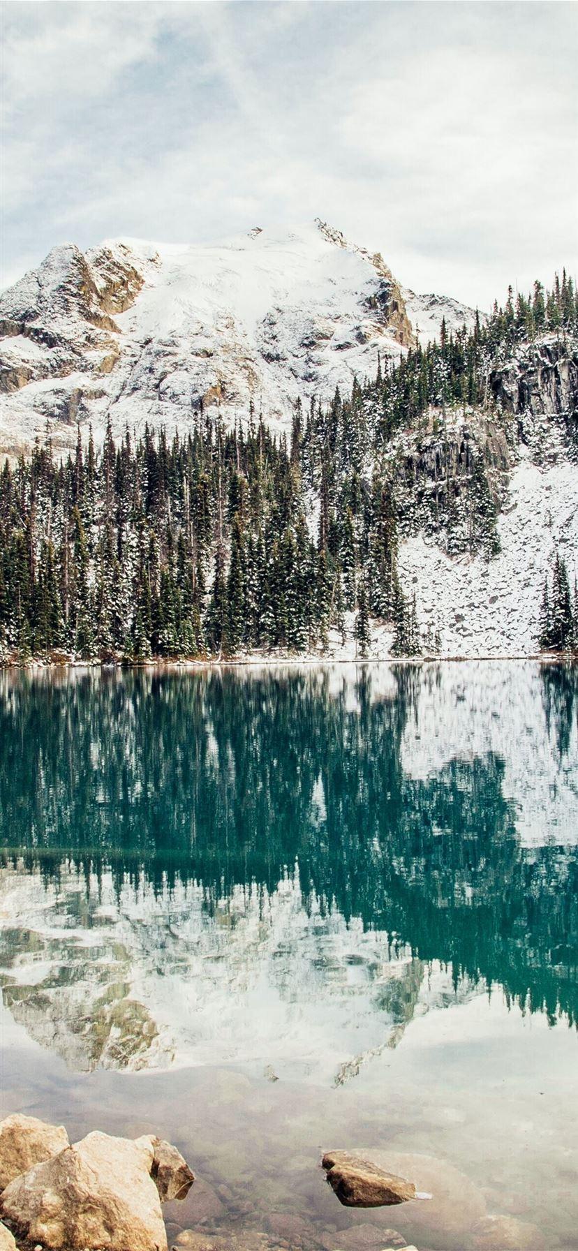 828x1792 blue body of water surrounded by trees iPhone 11 Wallpaper Free Download