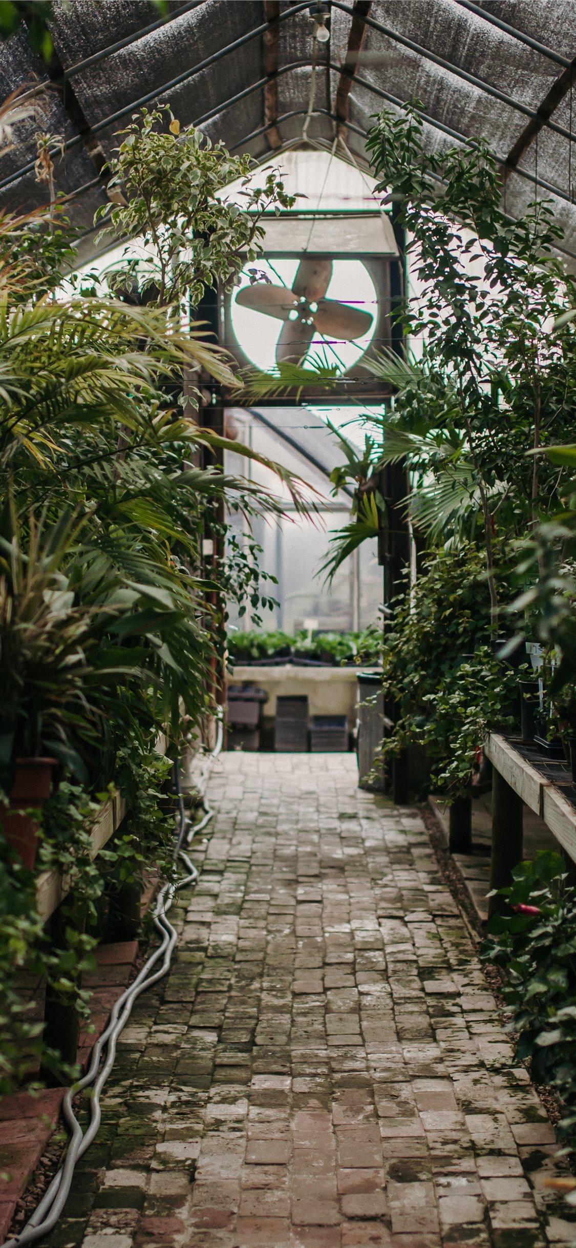 1125x2436 Surrounded by Life iPhone X Wallpaper Free Download