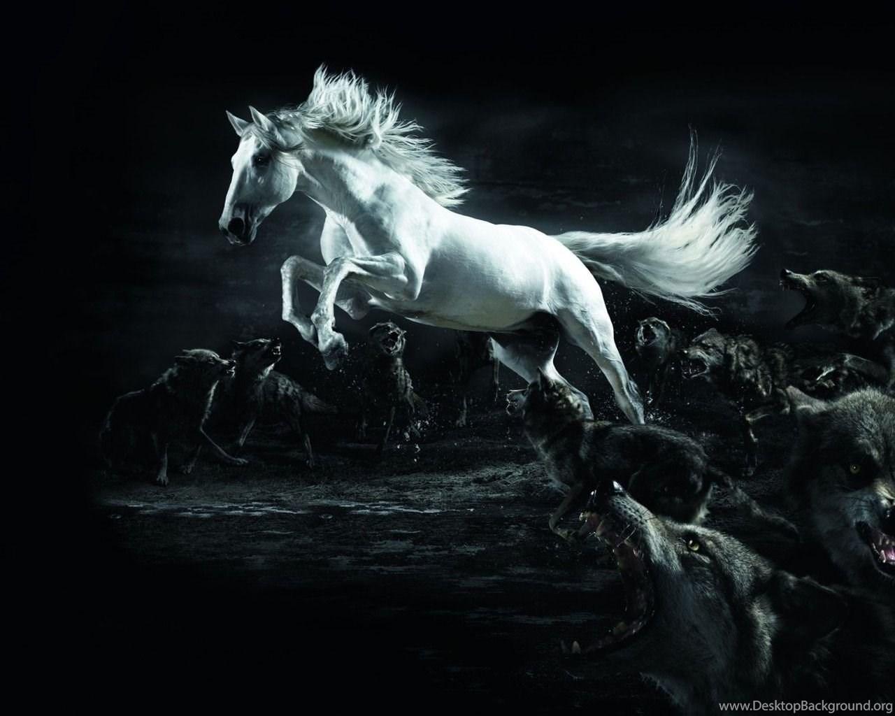 1280x1024 White Horse Surrounded By Wolves 1280 X 1024 Wallpaper Desktop Background