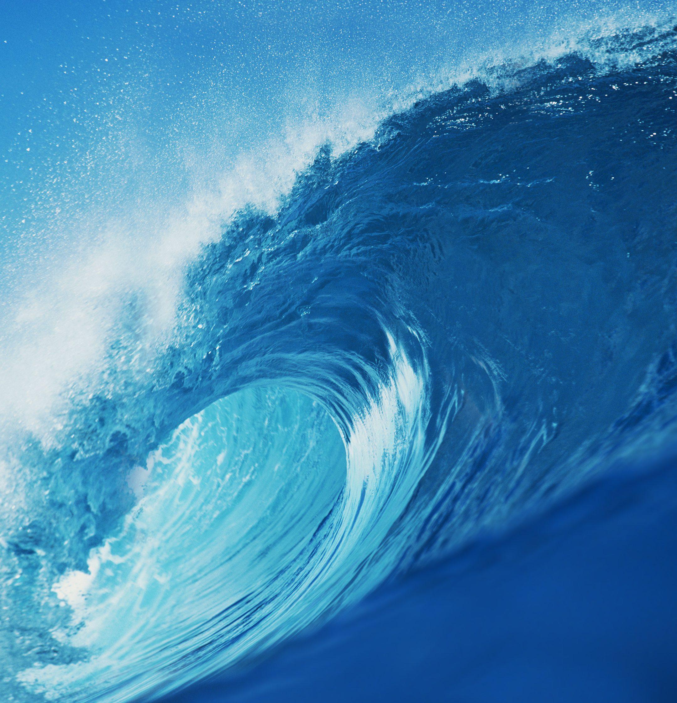 2160x2244 Honor 8X Wallpaper