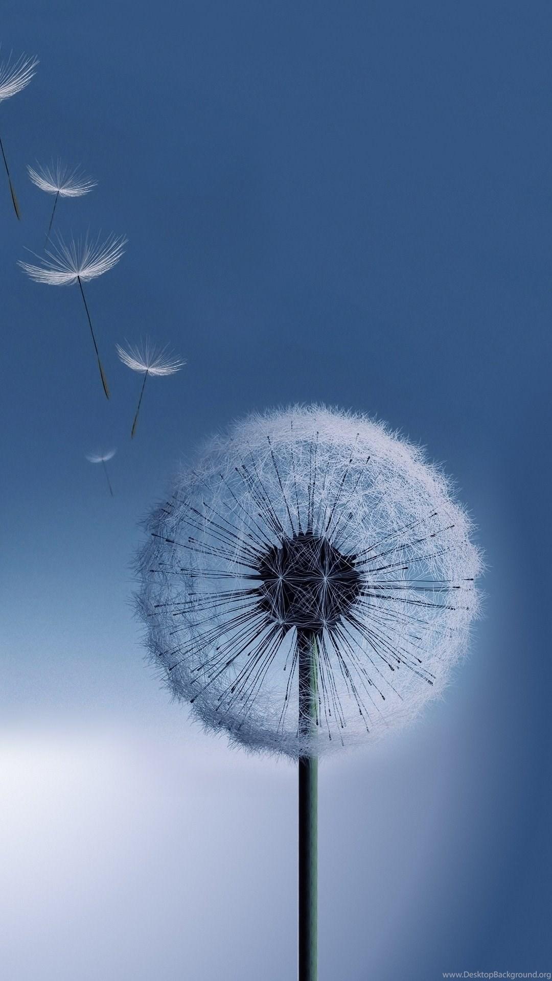 1080x1920 Huawei Cell Phone Wallpaper And Background Desktop Background