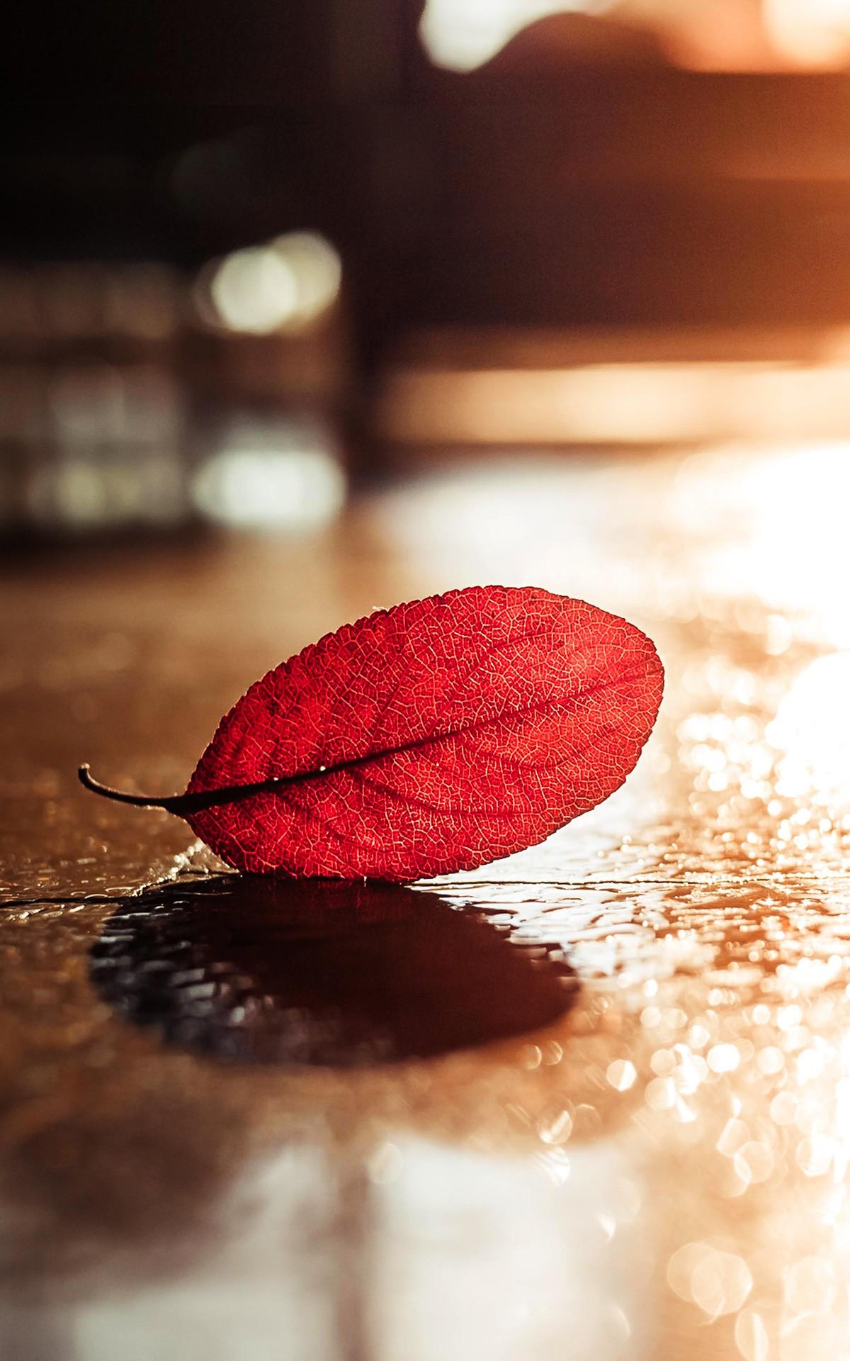 1200x1920 Huawei MediaPad M2 10.1 Stock Wallpaper HD
