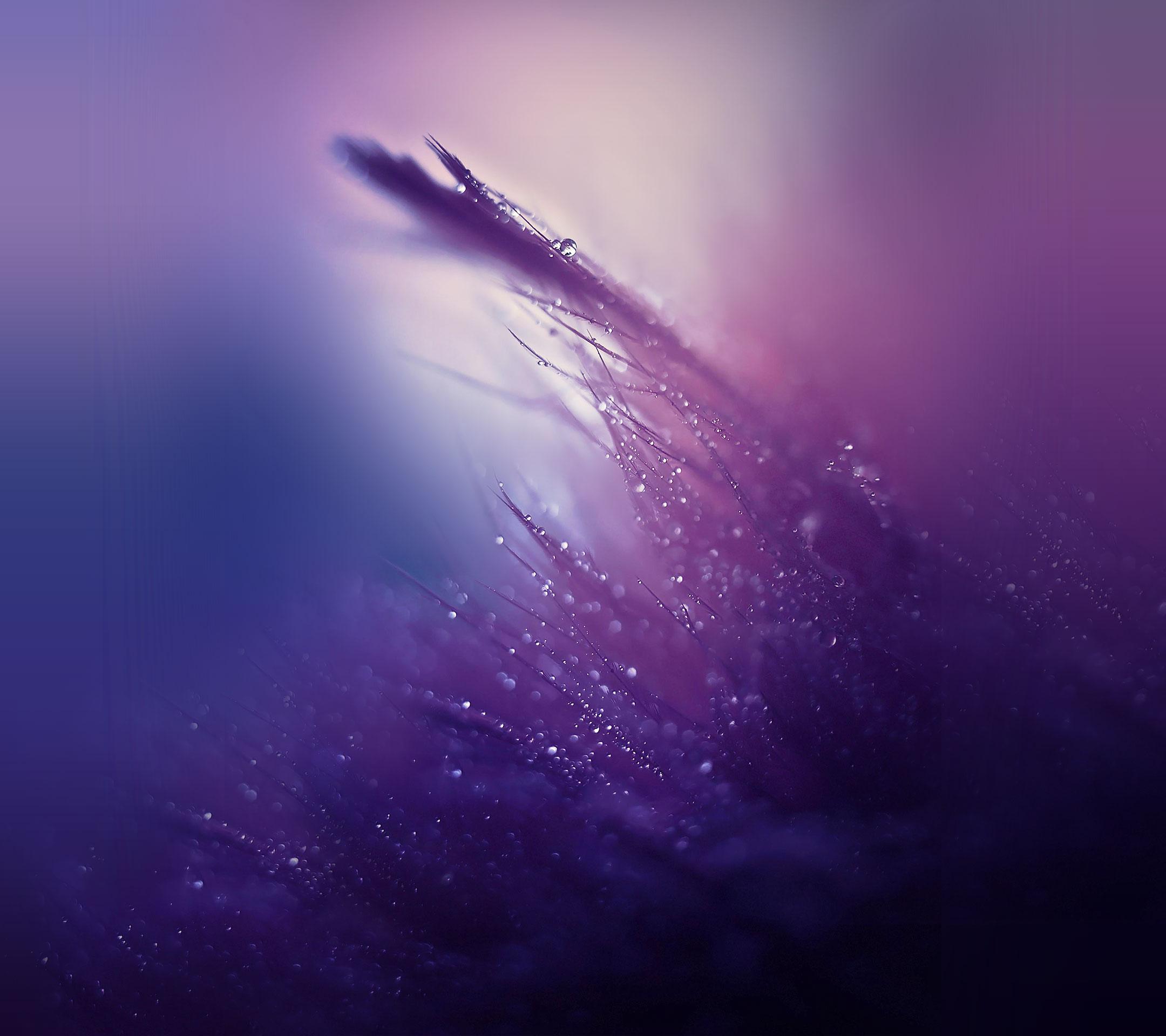 2160x1920 Free download Download Huawei Mate S Stock Wallpaper [2160x1920] for your Desktop, Mobile & Tablet. Explore Who Wallpaper. Doctor Who Wallpaper, Doctor Who Wallpaper 10th Doctor, Doctor Who Season 9 Wallpaper