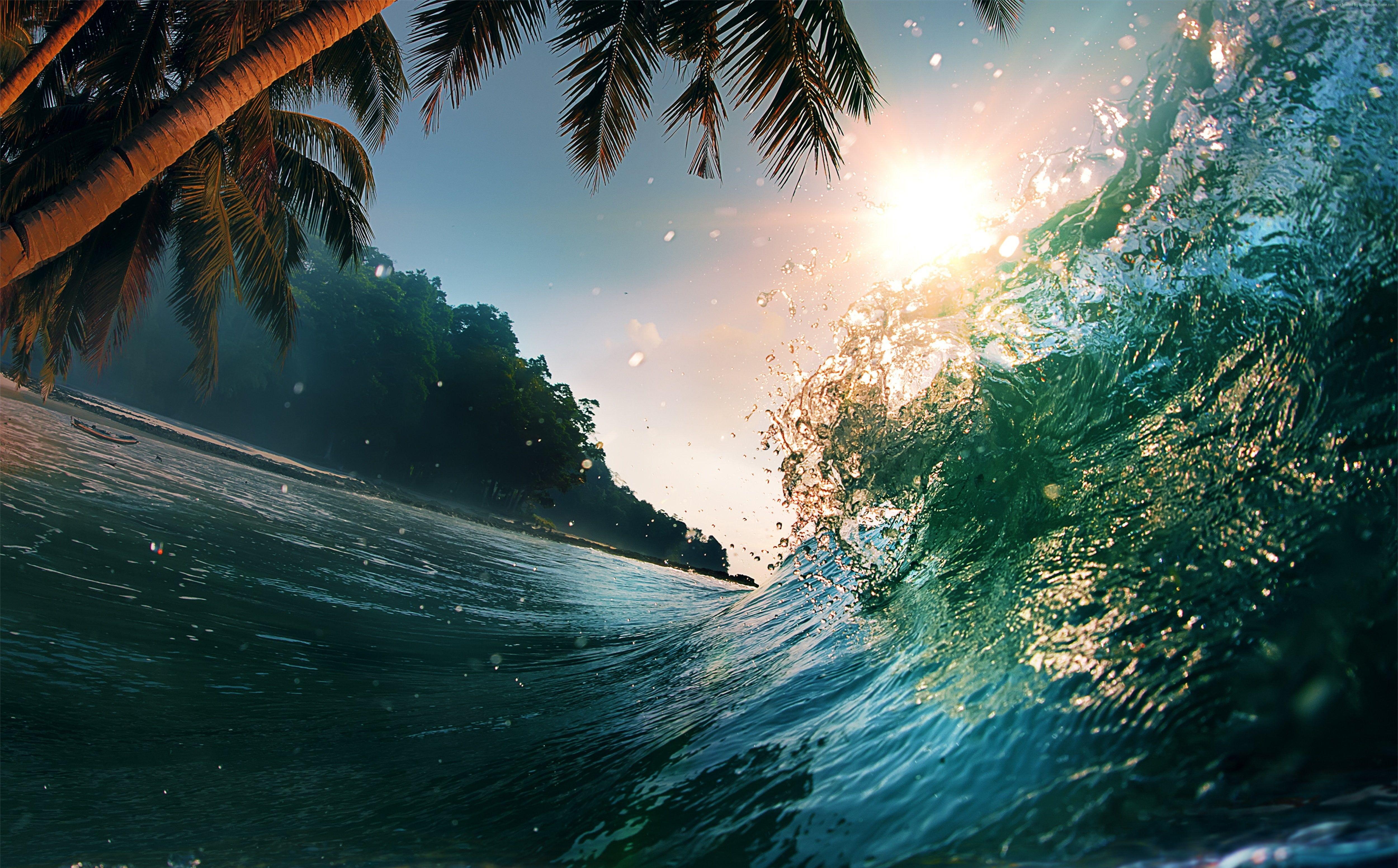 5000x3105 4k #ocean k k #Wave #sun #palms K #wallpaper #hdwallpaper #desktop. Waves wallpaper, Ocean wallpaper, Waves