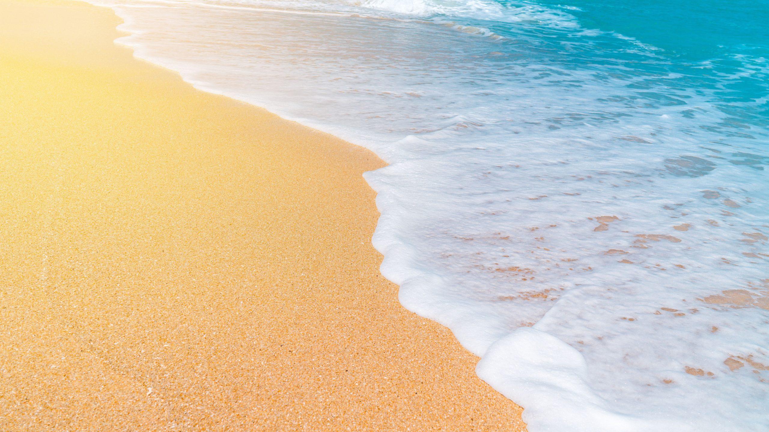 2560x1440 8K Summer Wallpaper Free download