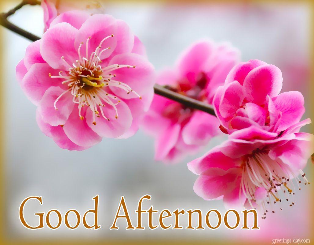 Beautiful Good Afternoon Wallpapers - Top Free Beautiful Good ...