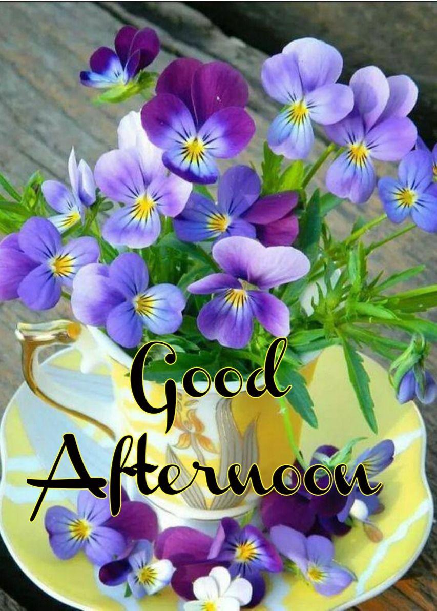 Beautiful Good Afternoon Wallpapers Top Free Beautiful Good Afternoon