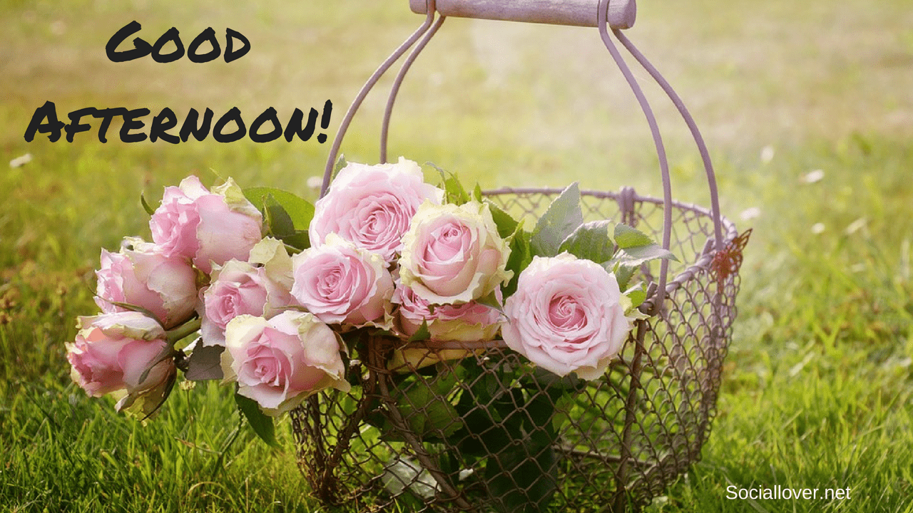 1280x720 Best Good Afternoon Image for Whatsapp, Facebook and Instagram