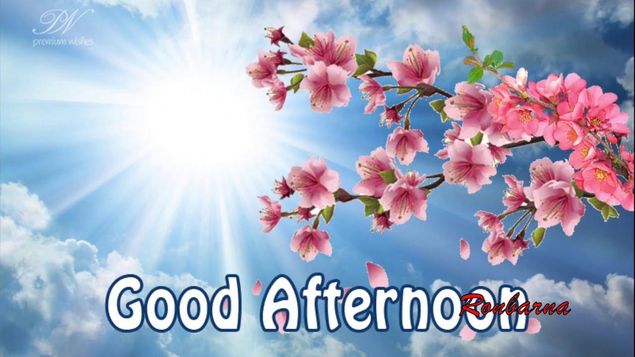1280x720 Good Afternoon Image for WhatsApp status Messages Greetings Wishes Wallpaper Pic #goodafternoon