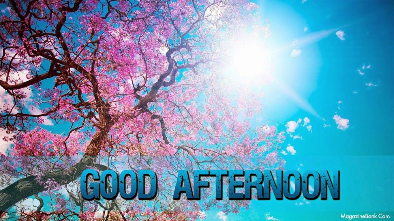 1366x768 Good Afternoon Quotes. QuotesGram