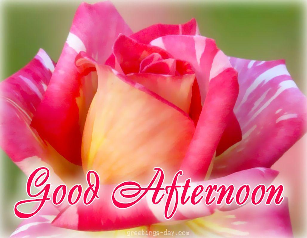 1028x800 Good Afternoon Picture, GIFs & Quotes. Good afternoon quotes, Good afternoon, Good day wishes