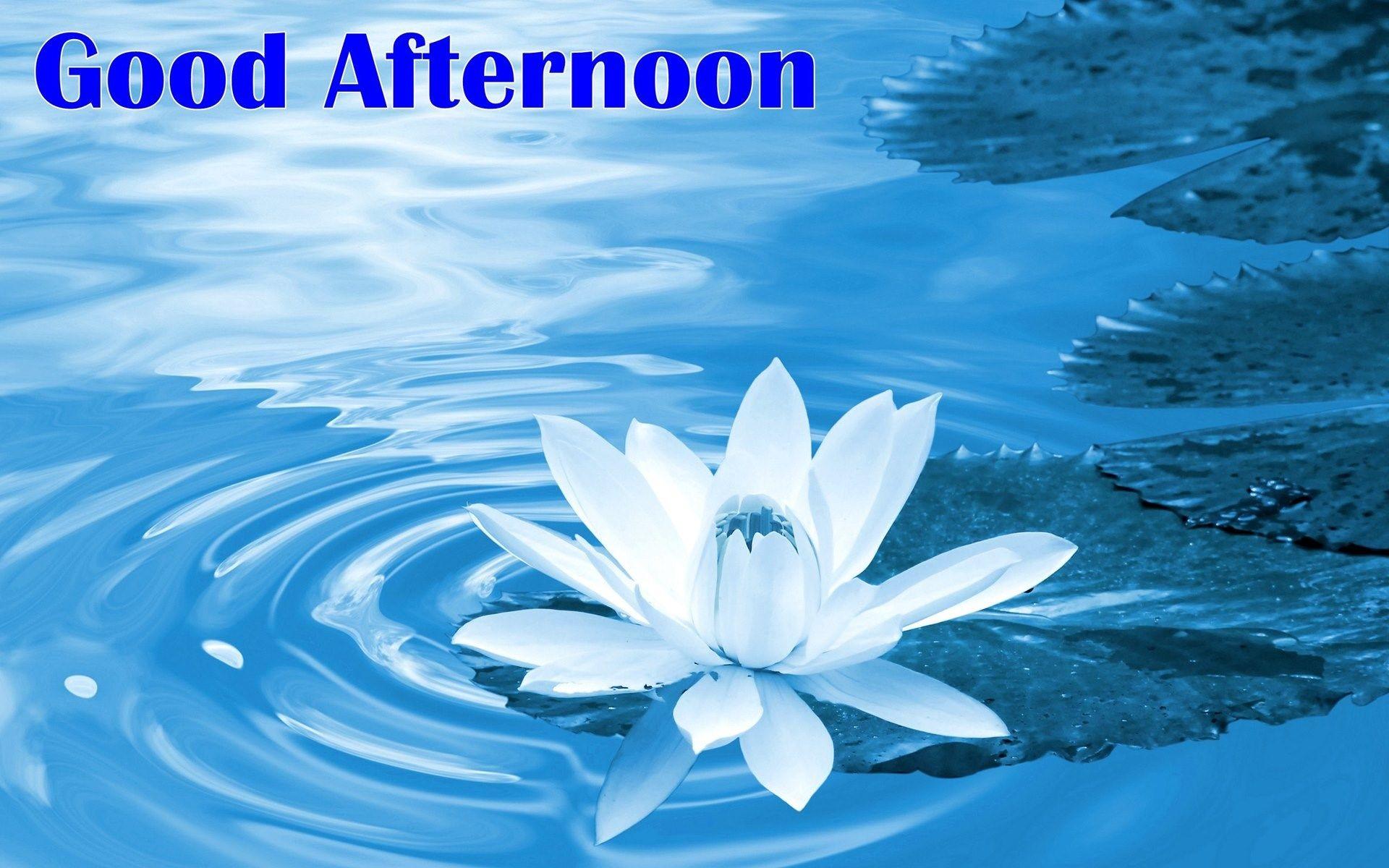 1920x1200 Good Afternoon Image