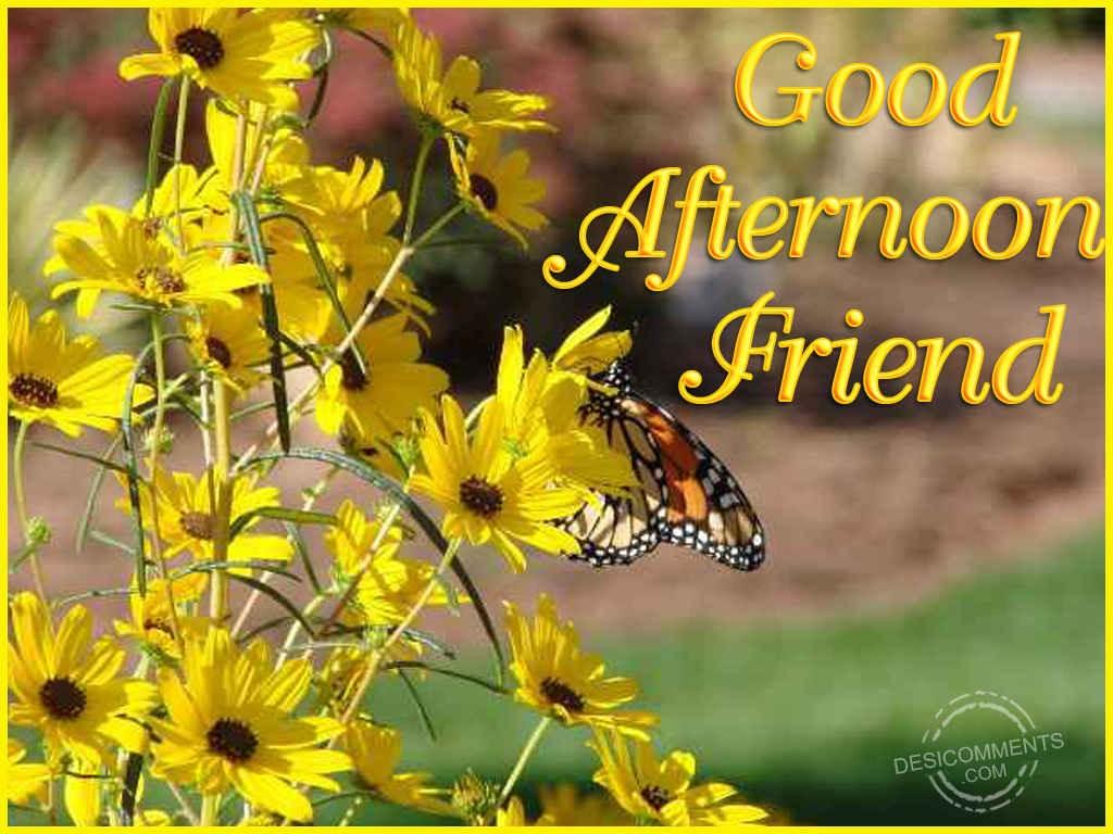 1024x768 Good Afternoon Quotes For Friends. QuotesGram