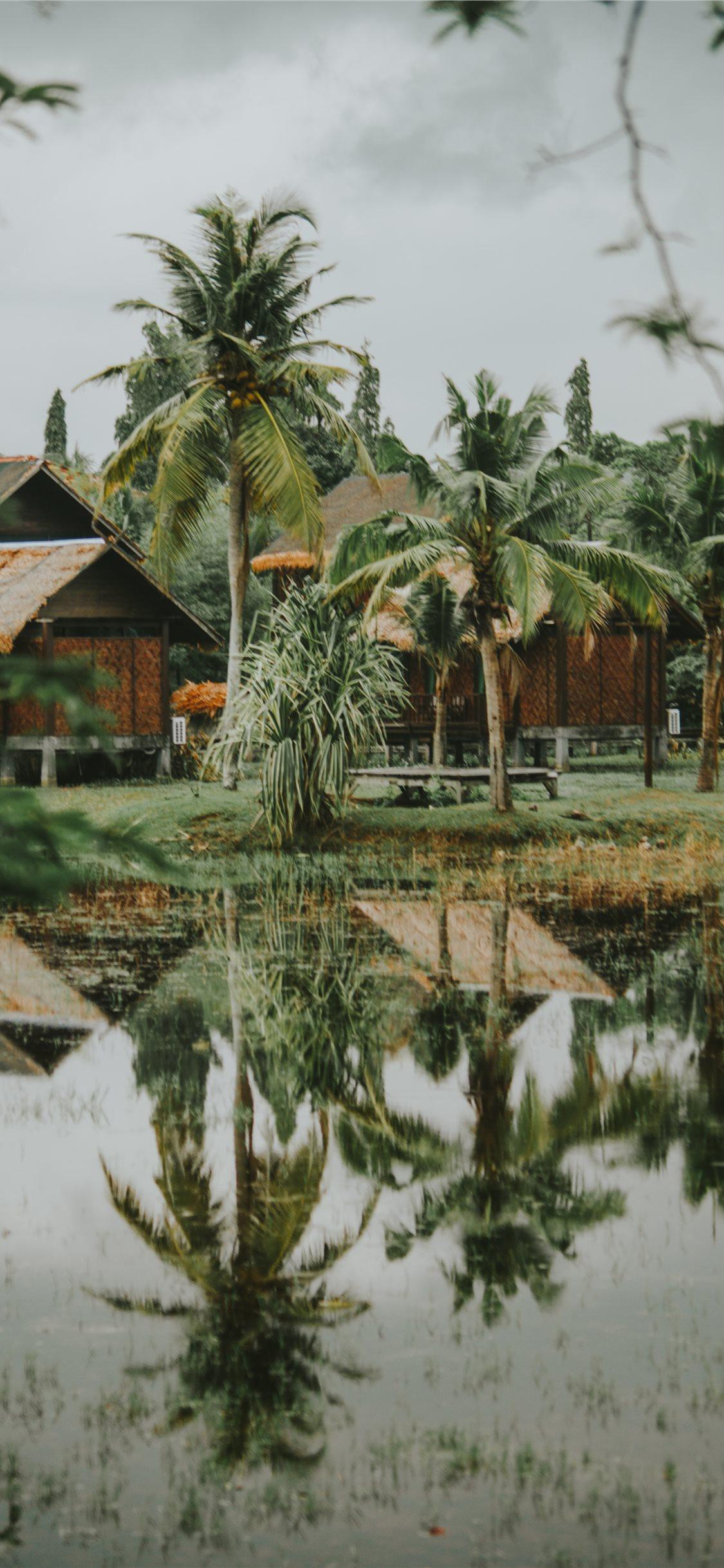 1125x2436 iPhone X Malaysia Landscape Wallpaper