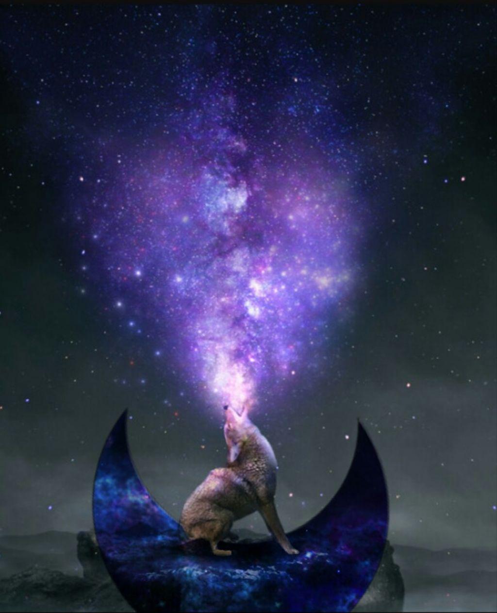 1024x1263 Wallpaper Galaxy Wolf