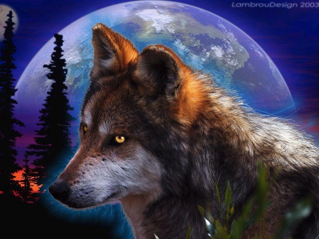 1024x768 Wolf Howling At The Moon Wallpaper