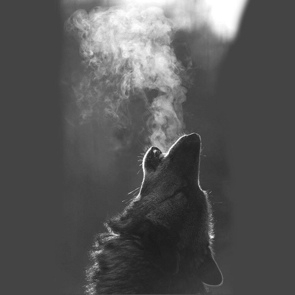 1024x1024 IPad Wallpaper, Lock Screens, And Background