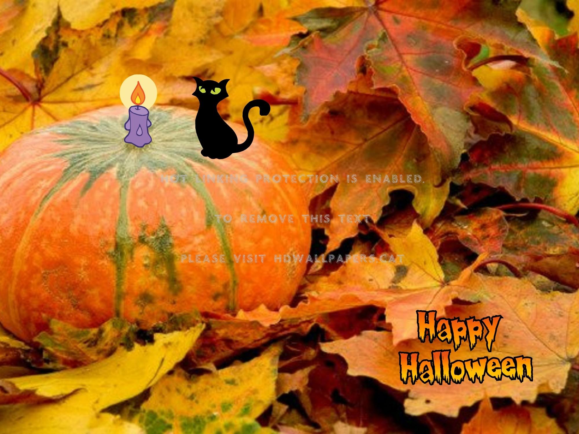 Abstract Pumpkin Wallpapers - Top Free Abstract Pumpkin Backgrounds