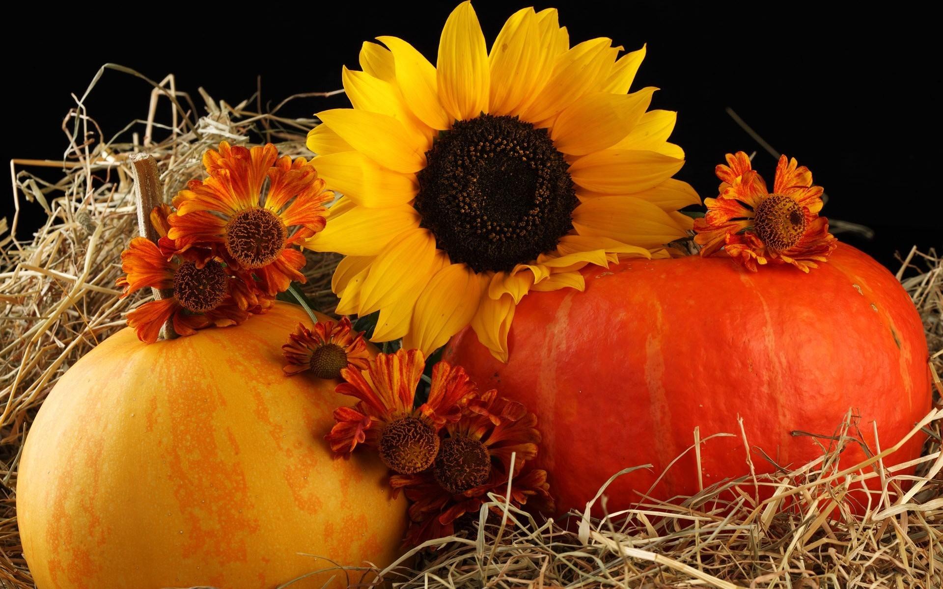 1920x1200 Fall Wallpaper Background With Pumpkins