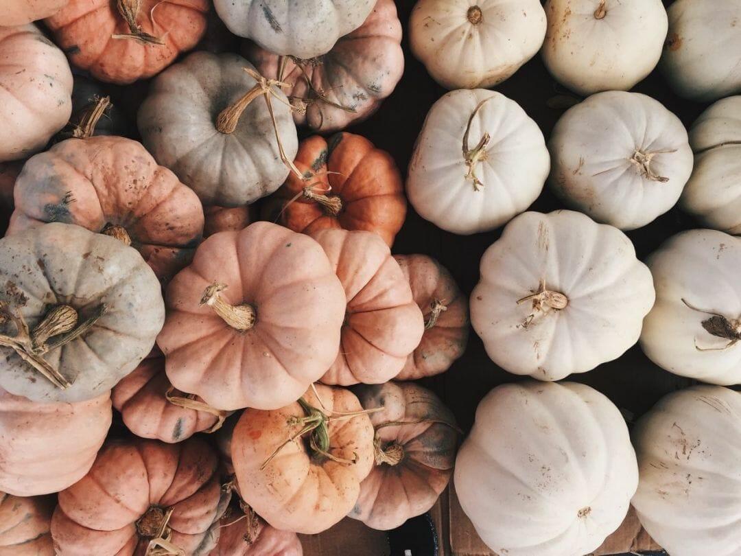 1080x810 Aesthetic Pumpkin, iPhone, Desktop HD Background / Wallpaper (1080p, 4k) (png / jpg) (2021)